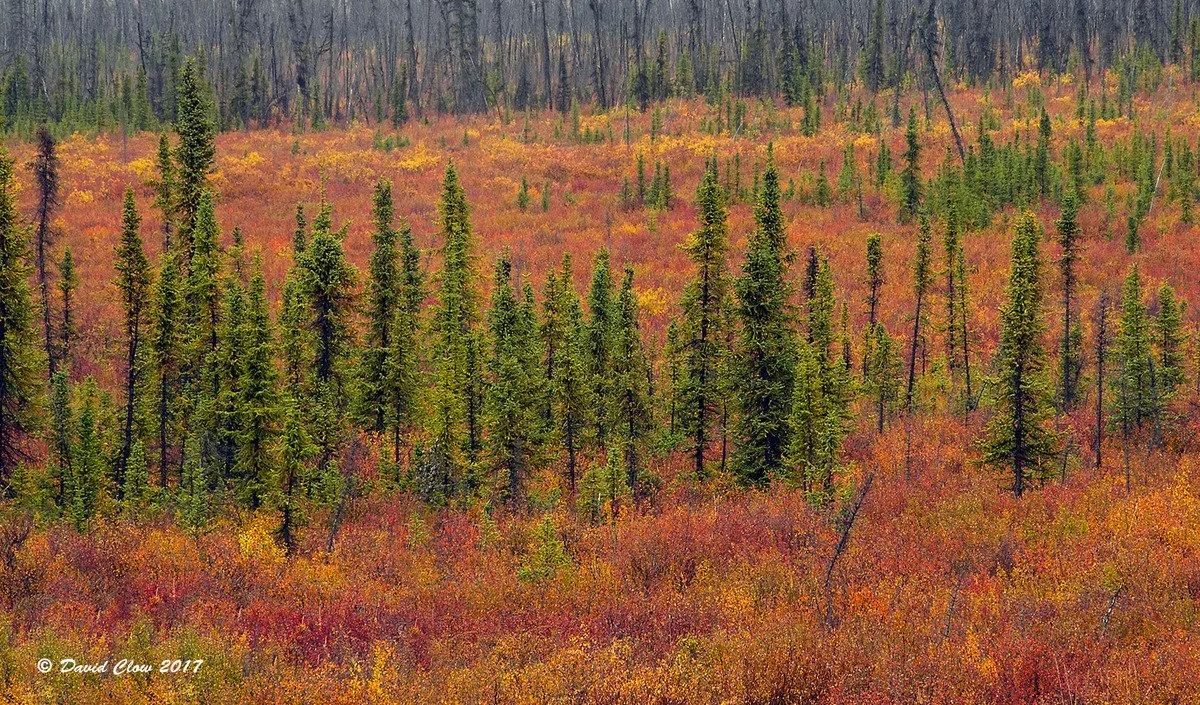 Top of the World Hwy (5), Alaska
