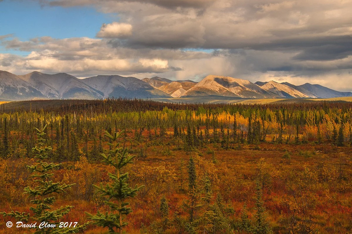 Along the Dempster Hwy
