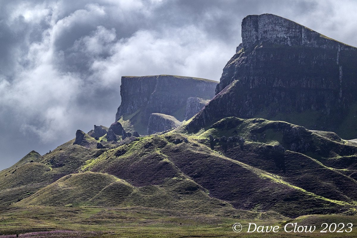 bioda buidhe (6).jpg