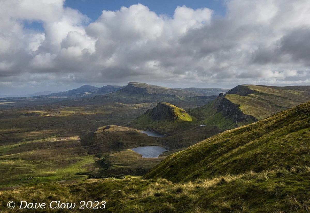 bioda buidhe (5).jpg