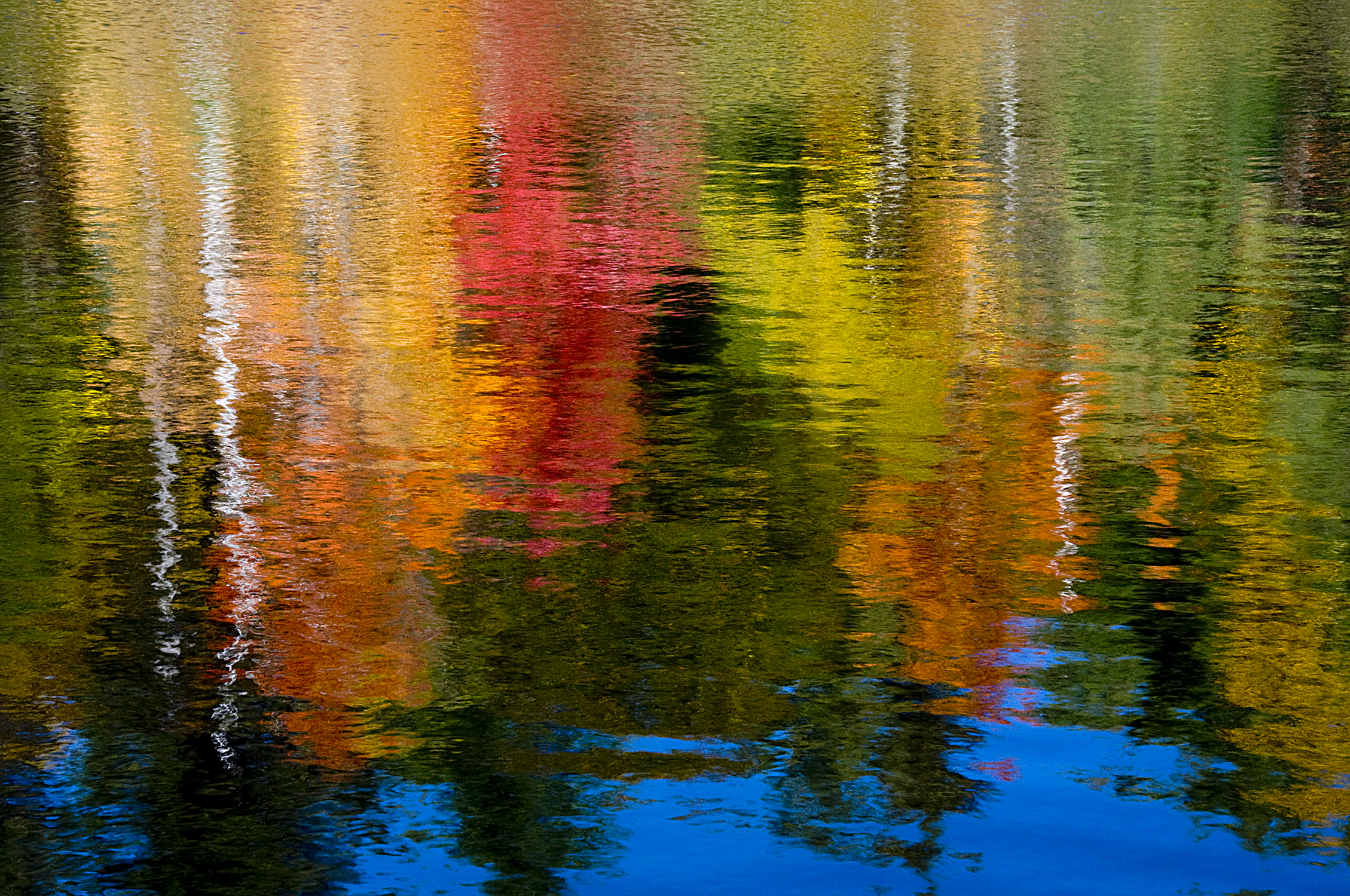 Reflections