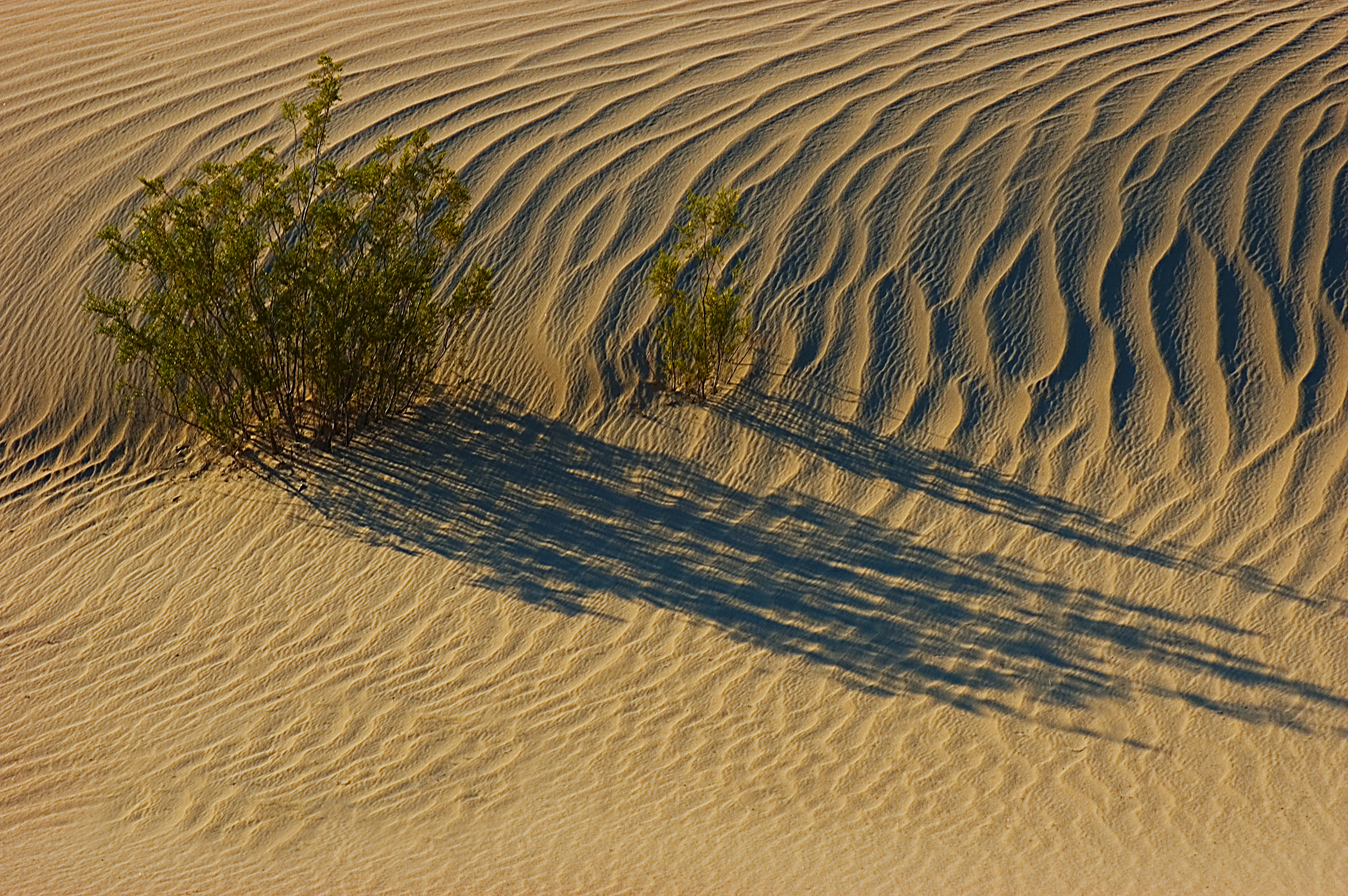 Death Valley National Park