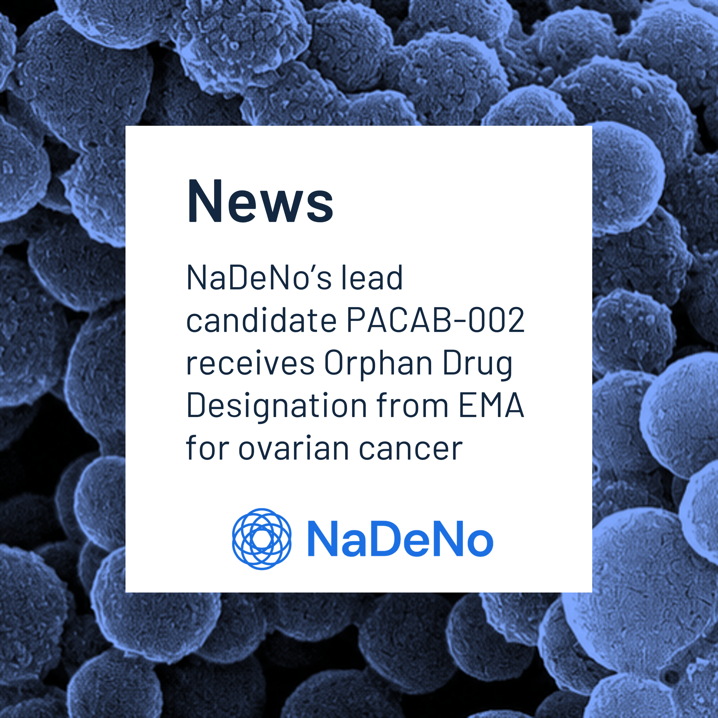 NaDeNo’s lead candidate PACAB-002 is granted Orphan Drug Designation