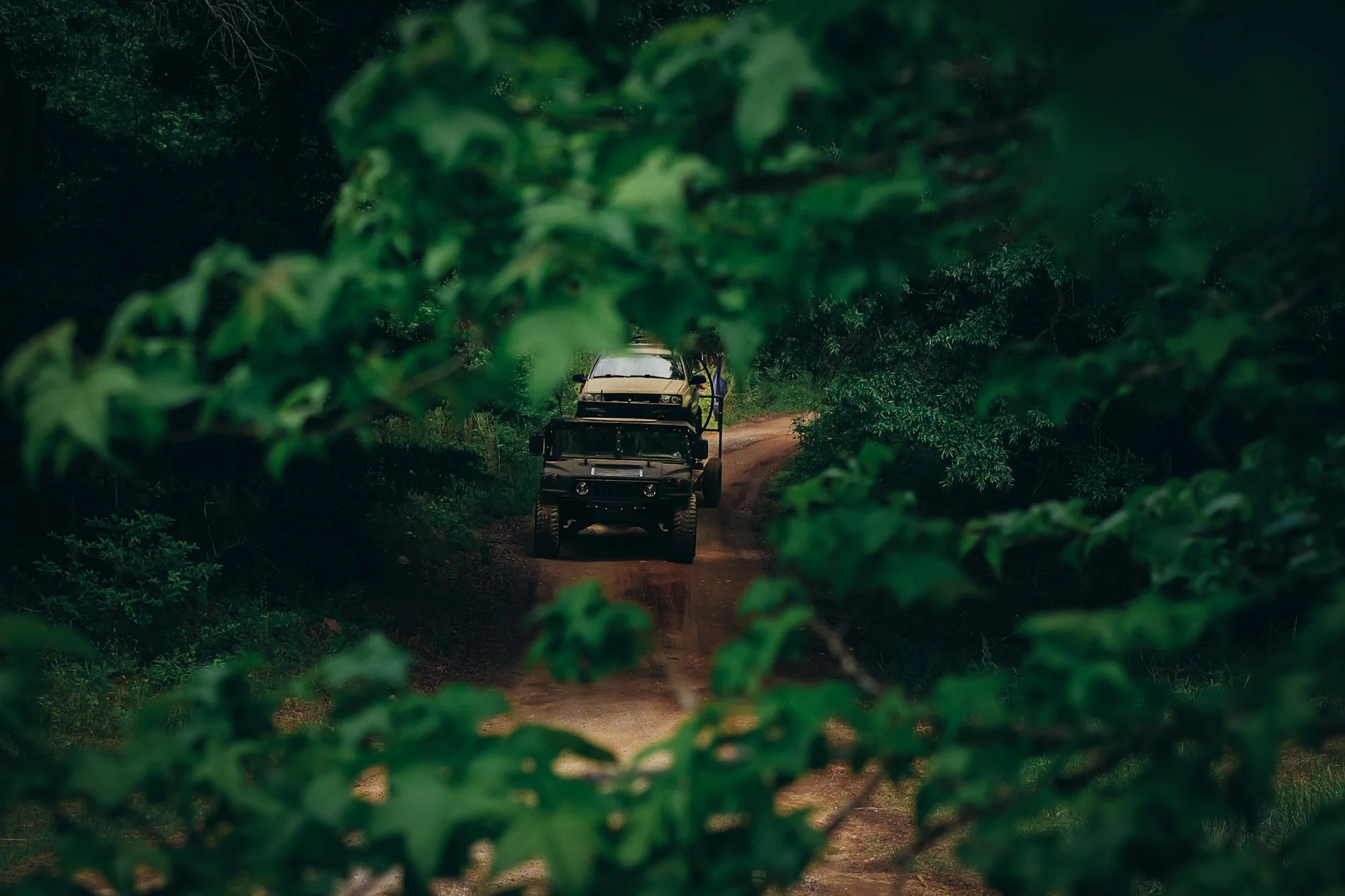 A dirt road through a dense green forest, with a jeep in the foreground and two cars in the background.