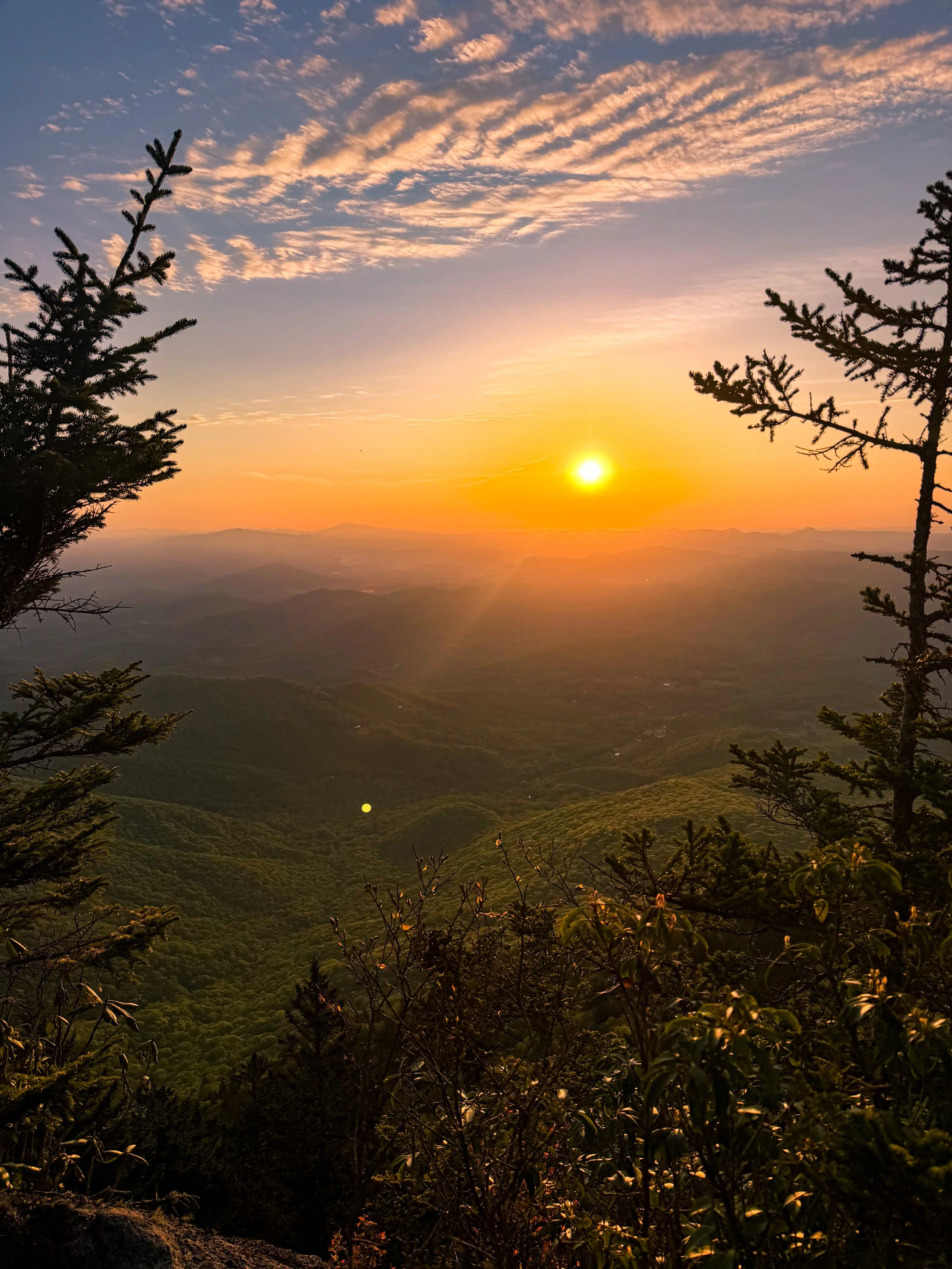 A scenic view of a sunset over rolling hills with cloud-filled sky, framed by pine trees in the foreground.
