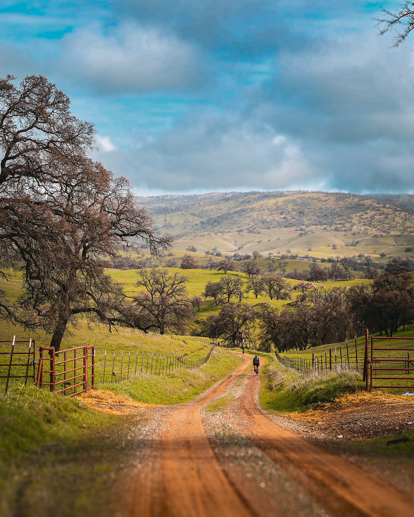 A dirt country road flanked by fences leading through rolling green hills with trees and mountains in the background under a partly cloudy sky.