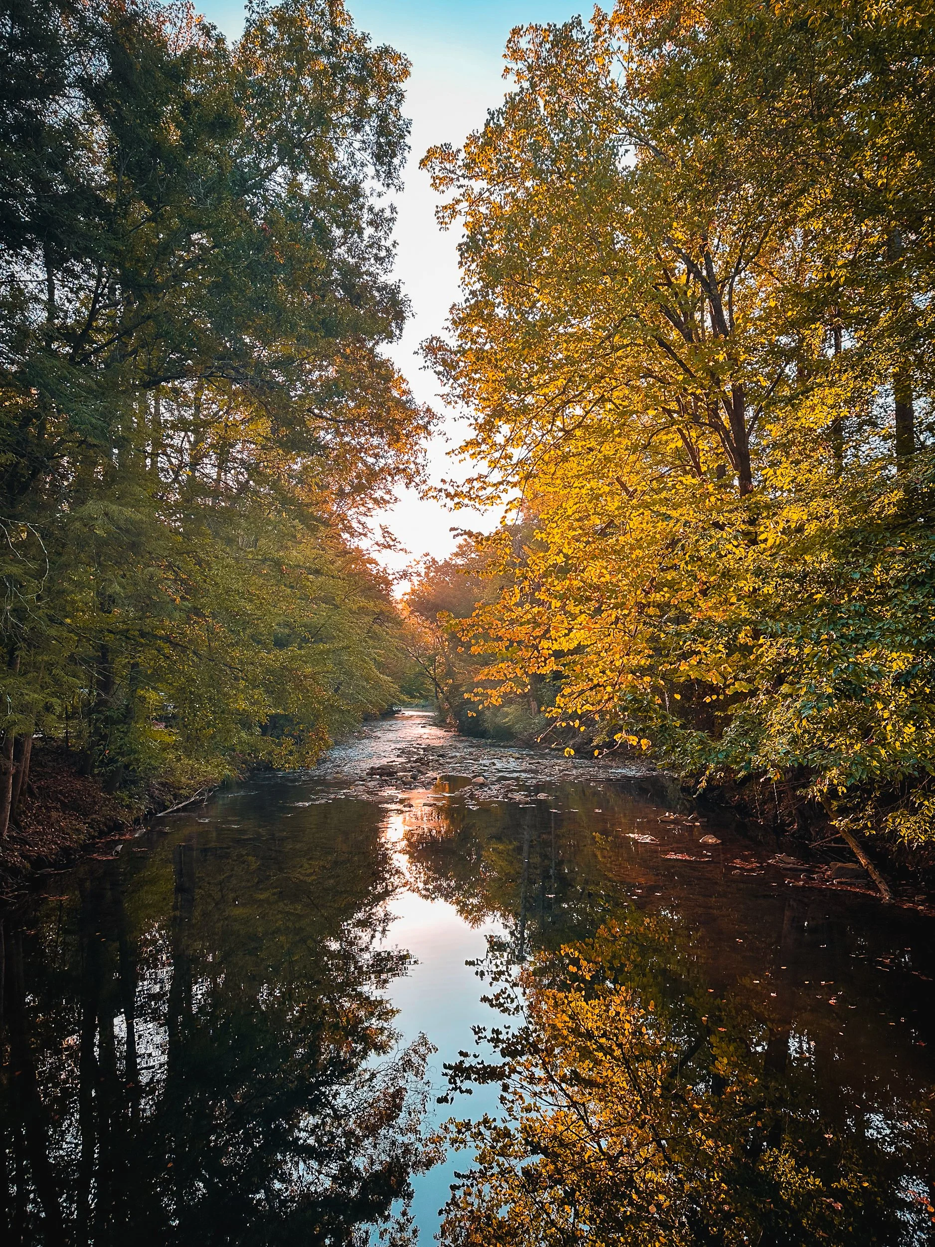 A peaceful river flowing through a forest with trees in autumn colors, reflections of the trees visible in the water, and the sky visible through the branches.
