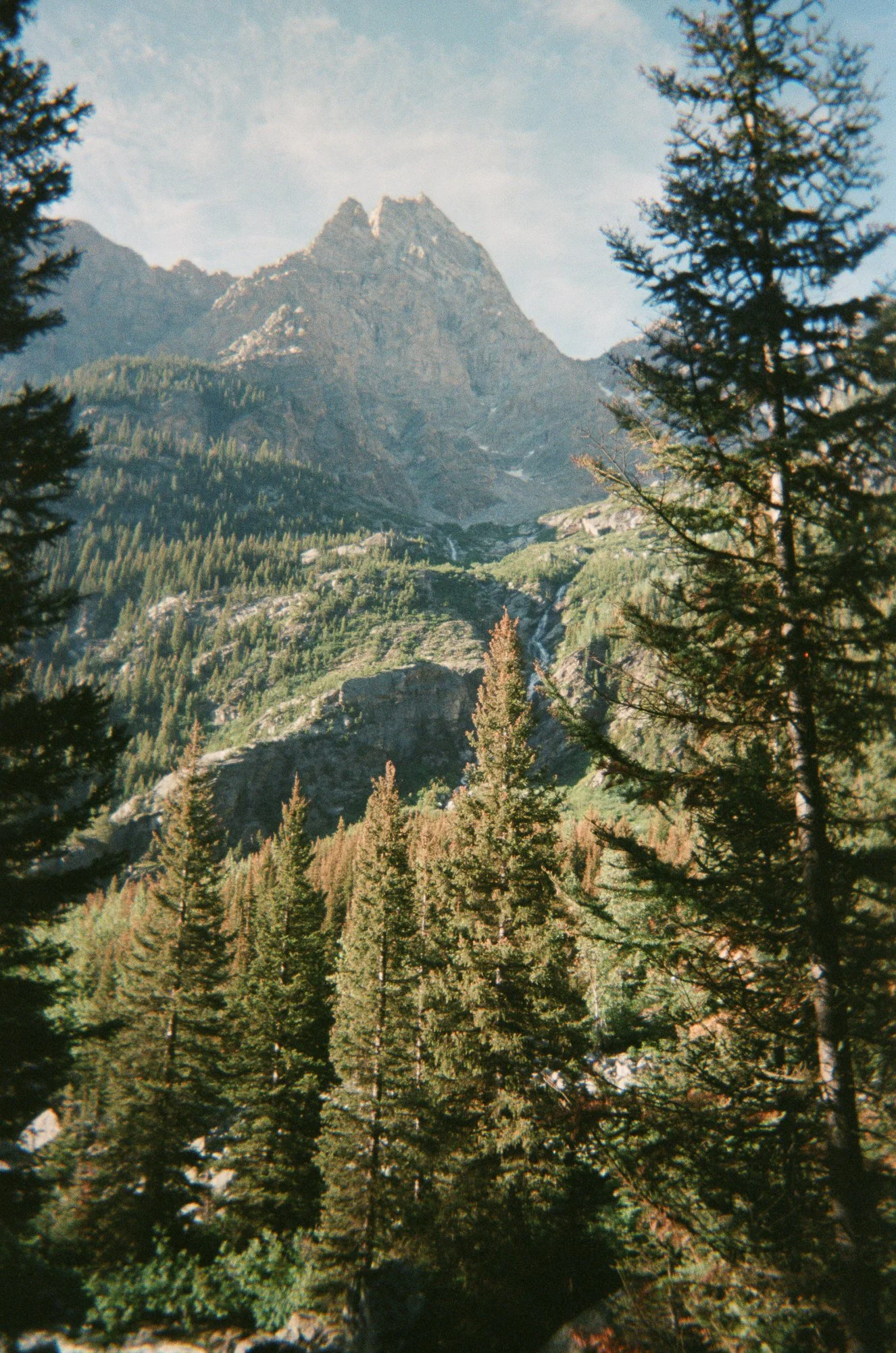 A mountainous landscape with tall mountain peaks in the background, surrounded by green pine trees in the foreground, under a partly cloudy sky.