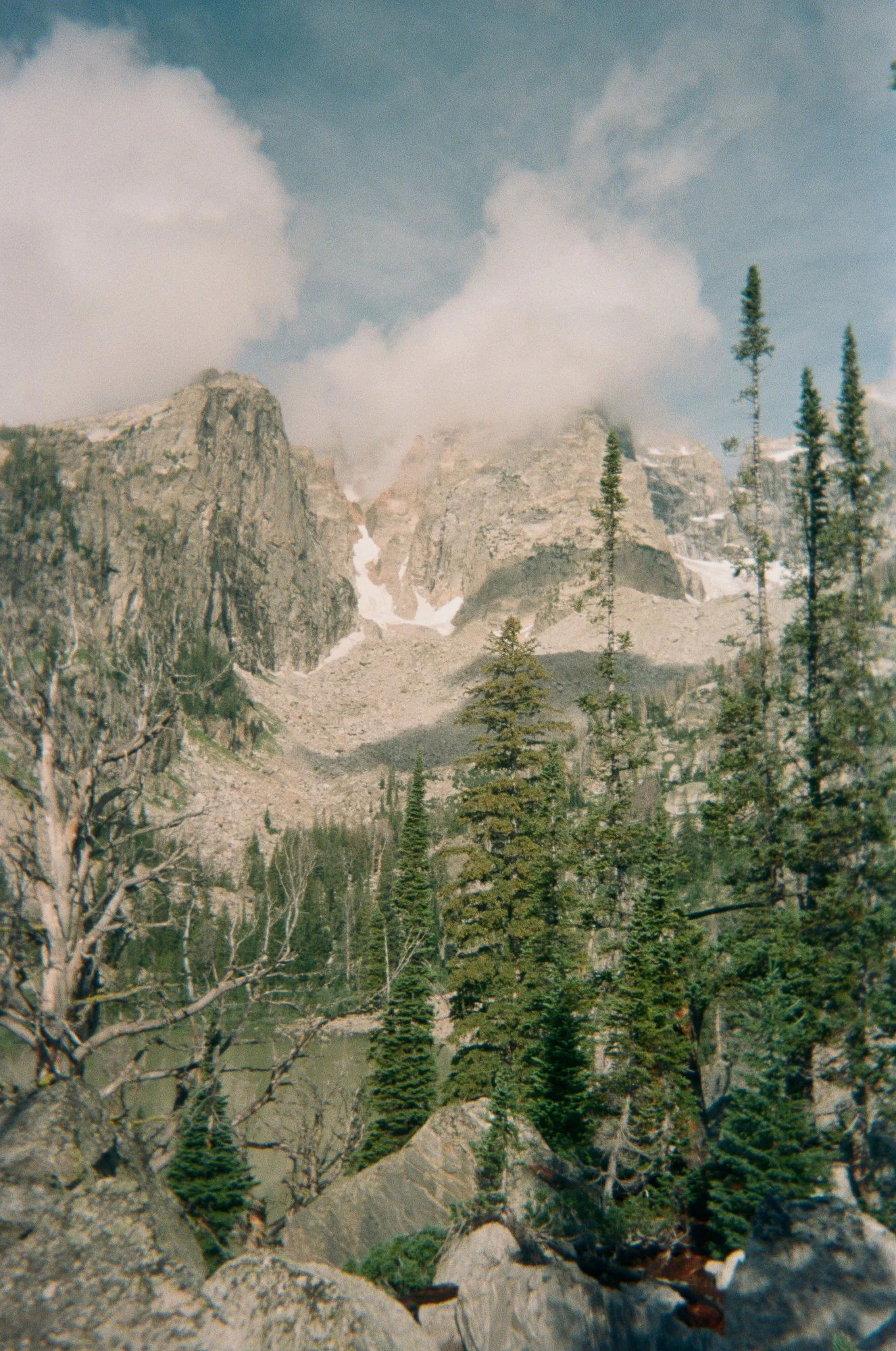 A mountainous landscape with rocky cliffs, evergreen trees, and a cloudy sky.