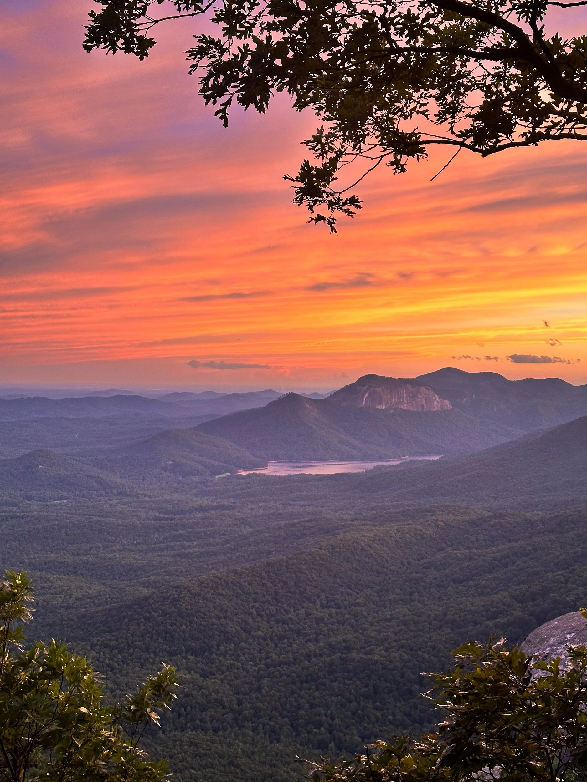 A scenic view of a sunset over a mountain landscape with layers of hills and a body of water in the distance, framed by leaves and branches of trees in the foreground.