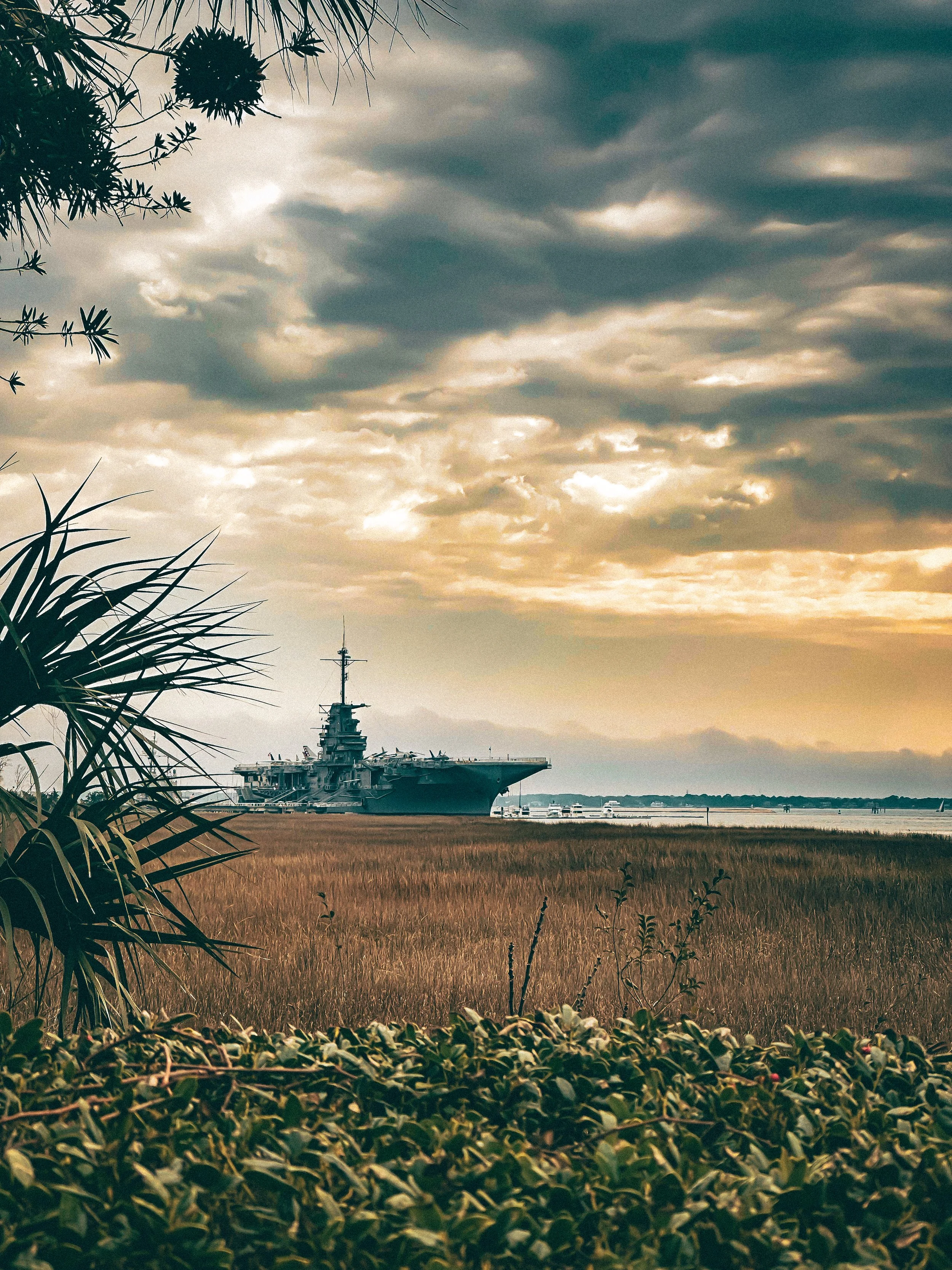 A large aircraft carrier ship on calm water near a golden field with plants in the foreground, a cloudy sky above, and distant land or mountains in the background.