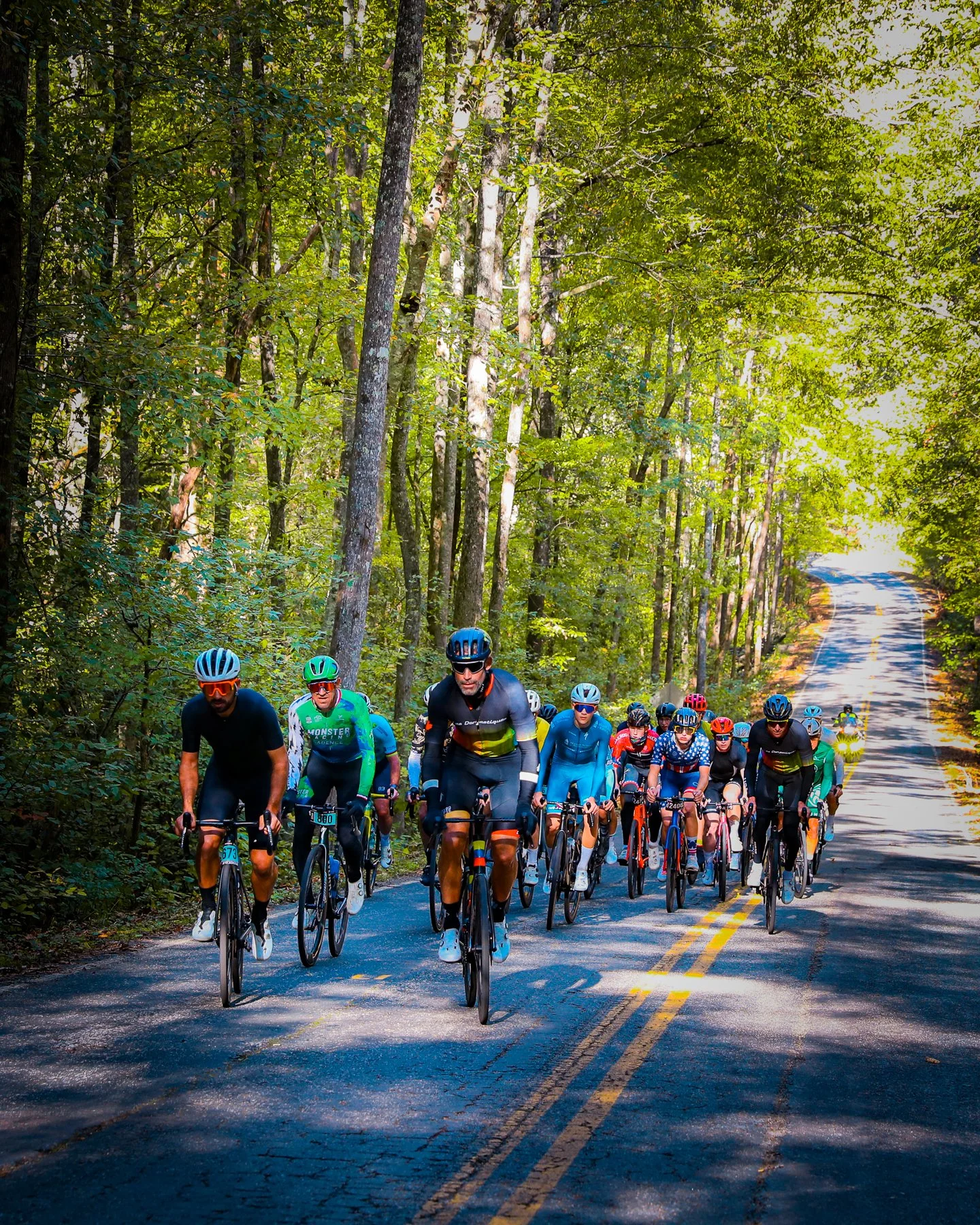 A large group of cyclists riding on a shaded forest road with trees on both sides.
