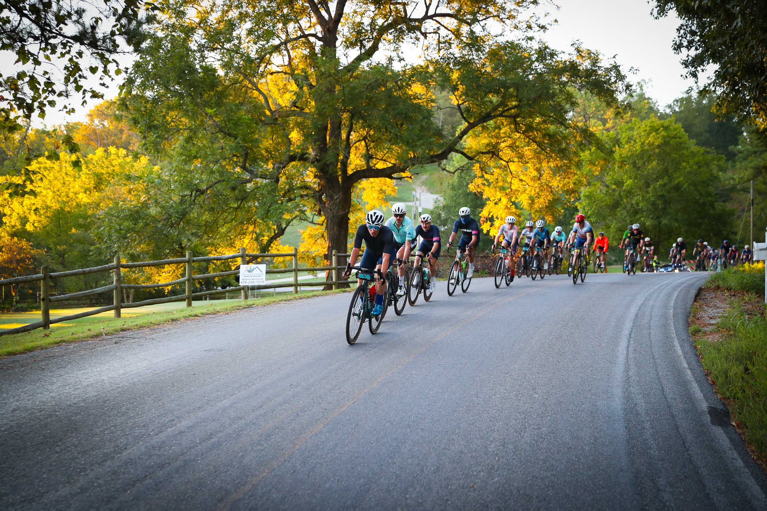 A group of cyclists riding in a single file along a curved rural road, with lush green trees in the background and autumn foliage, during early evening.