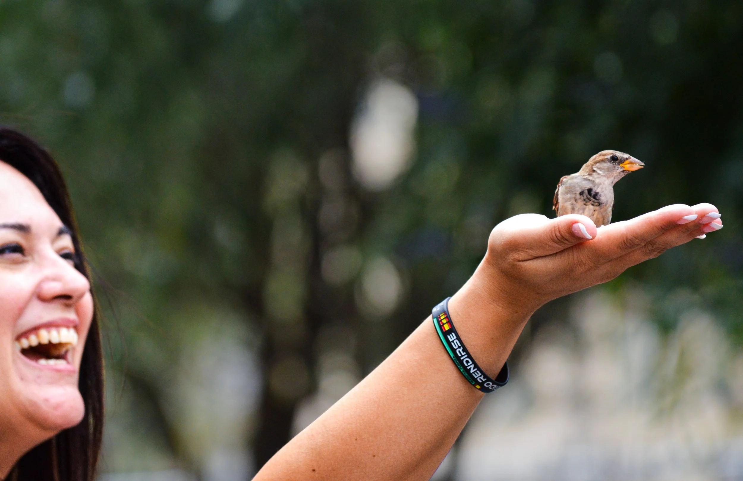 Woman holding Sparrow.jpg
