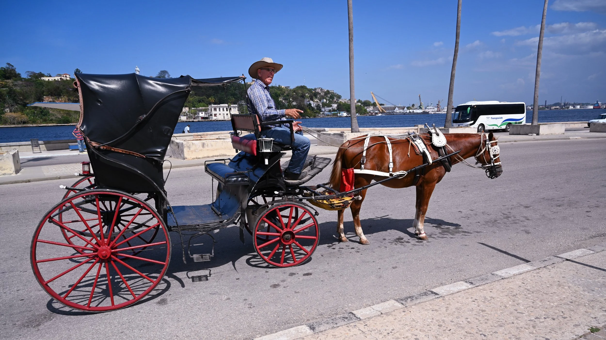 CARRIAGE AND HORSEMAN.jpg