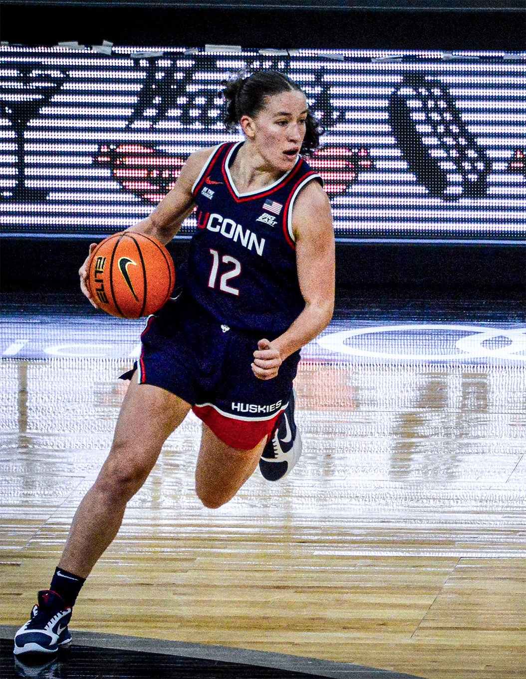 Lady Husky 2 No 12.jpg