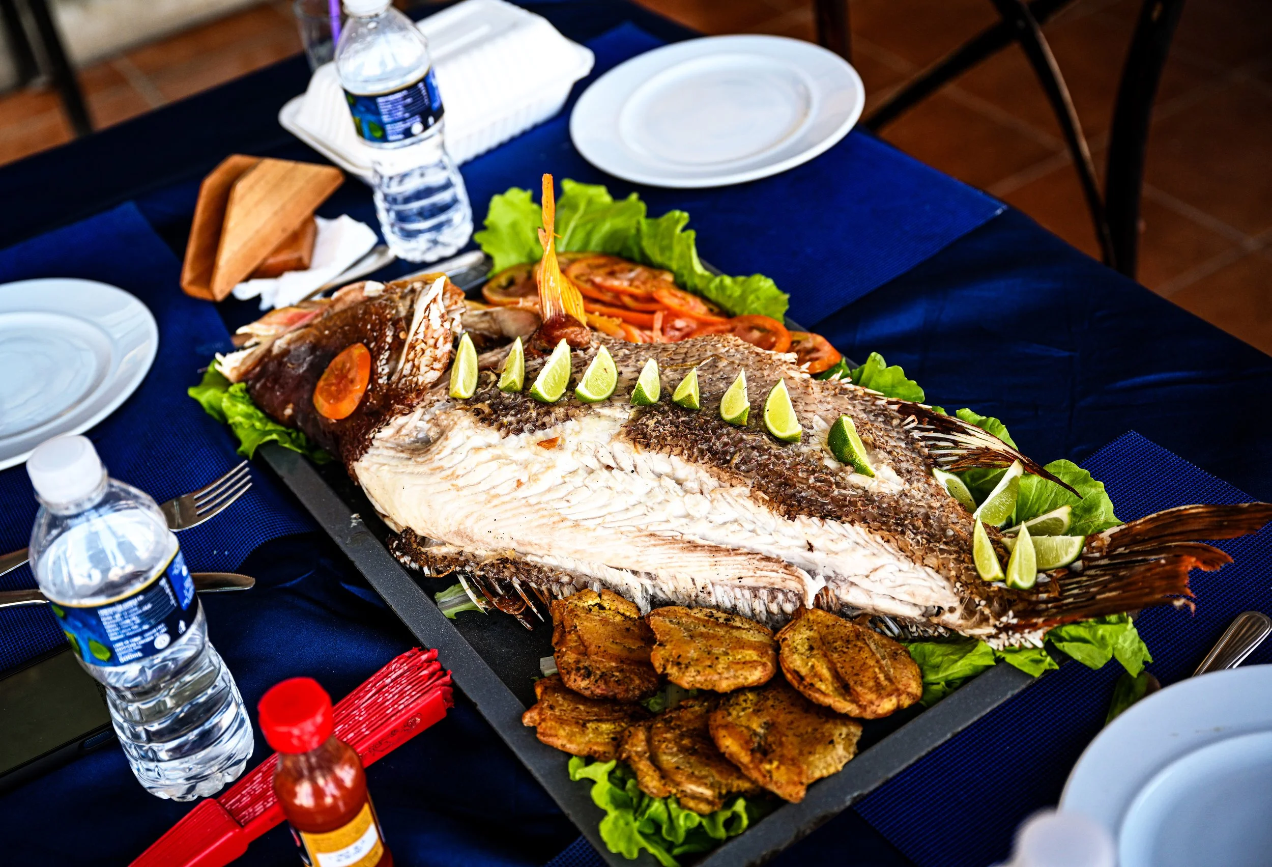 Red Snapper.jpg