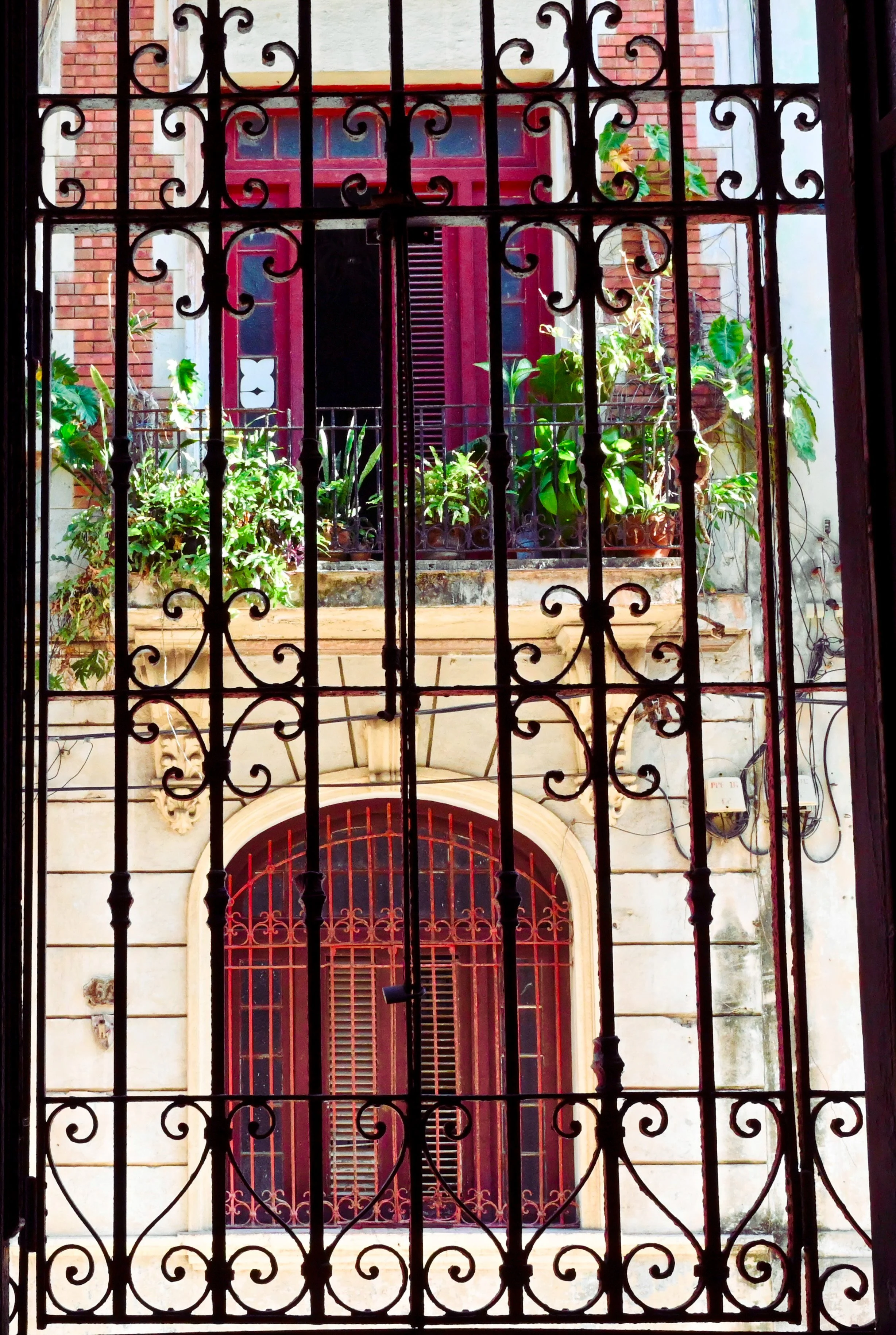 Window View 2.jpg