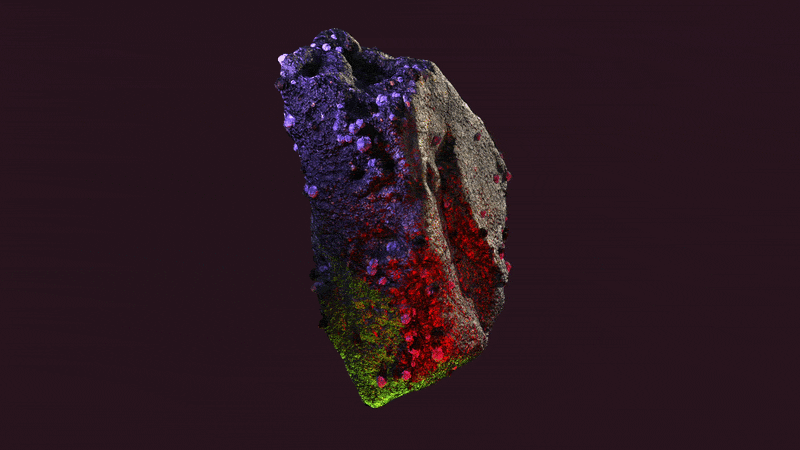 A 3D rendering of a rock with colorful moss and lichen in purple, red, green, and gray.