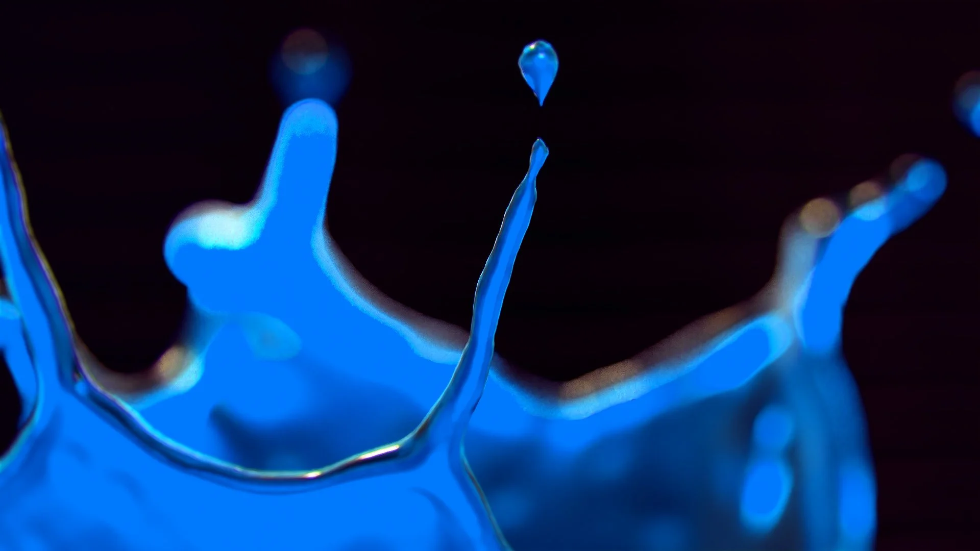 Digbee_Ident 3_sticky version v2_AE001 (0-00-03-14).jpg
