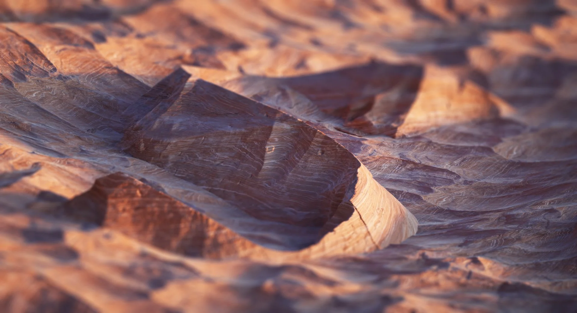 sculpting spaces_63k12 copy.jpg