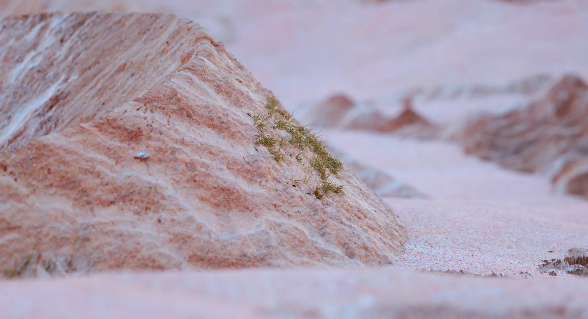 Sculpting Spaces_17d0012.jpg