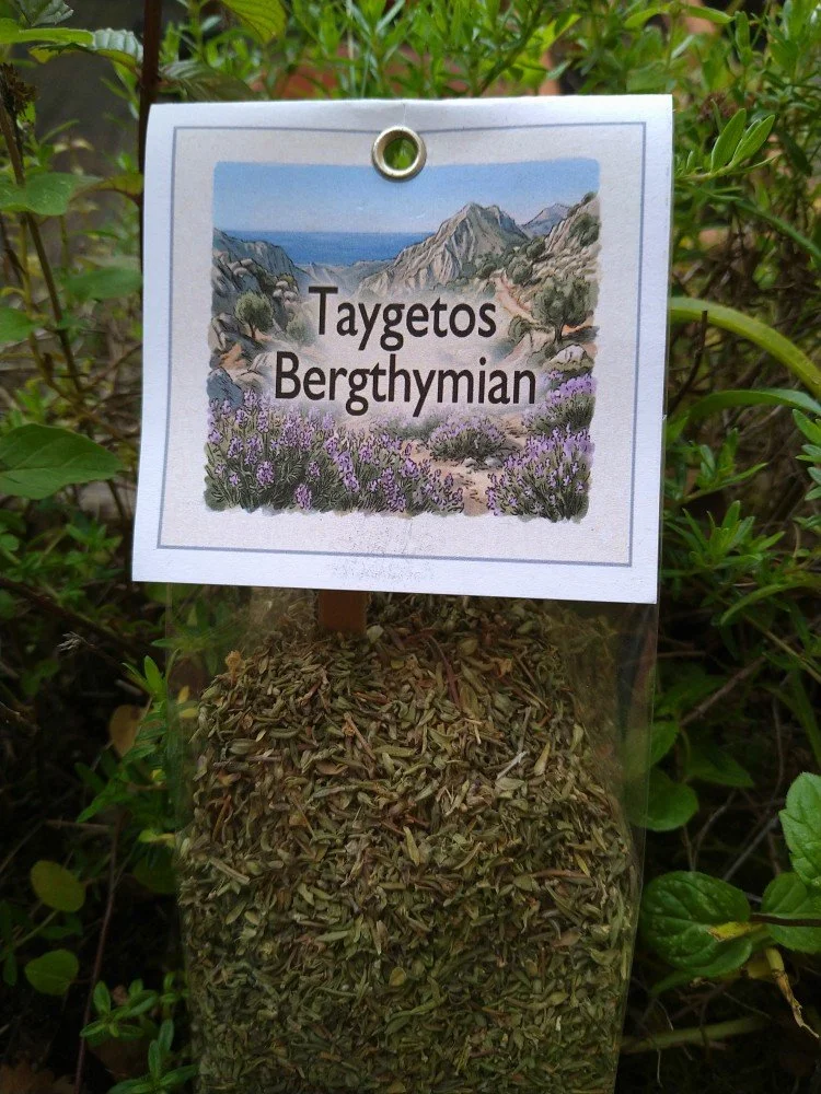 griechischer Thymian abgepackt