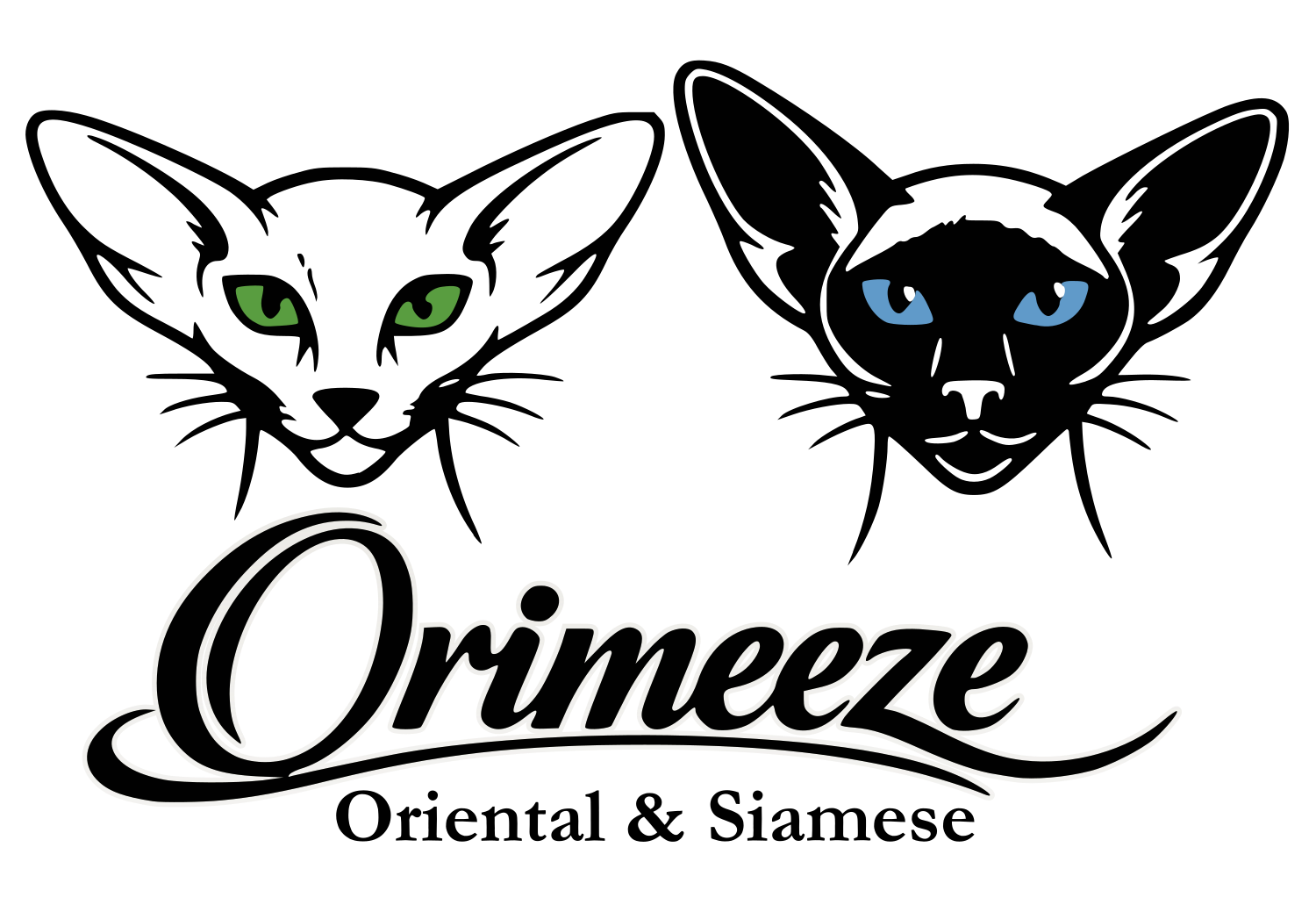 Orimeeze Oriental and Siamese