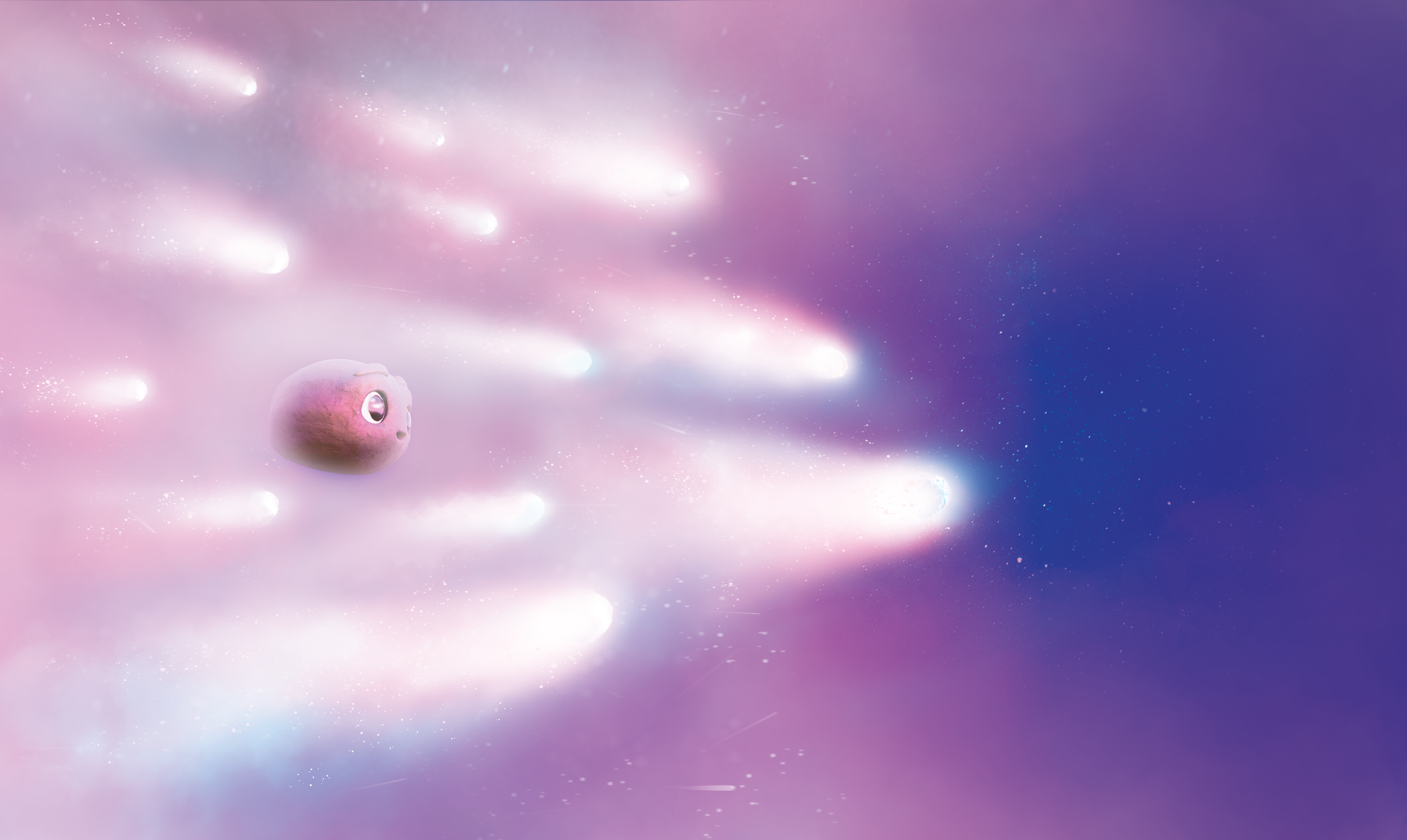 Flying with the stars