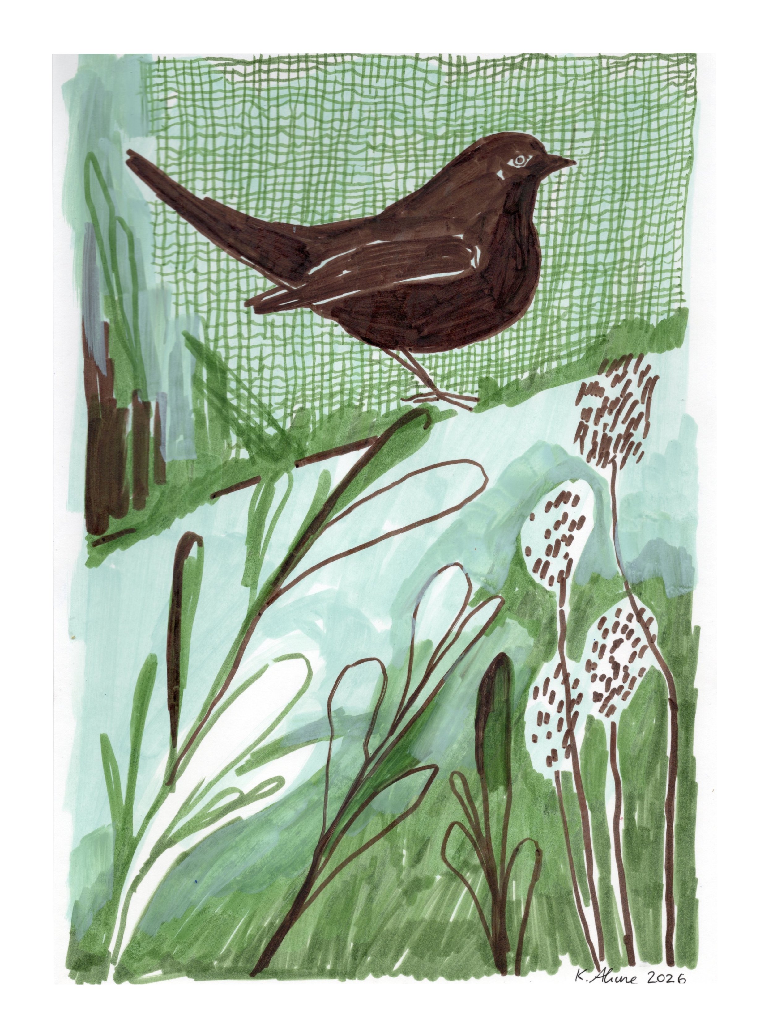 Original Drawing "Blackbird in a Garden"