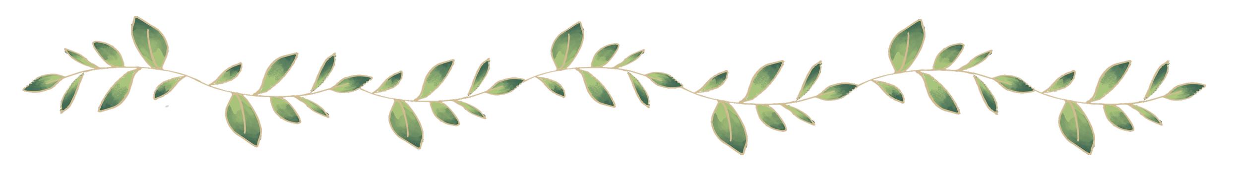 green vine separator to delineate the process of working with death doula kristina hanlon