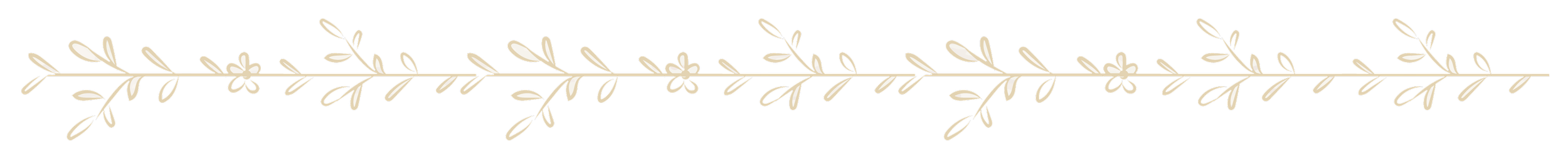 illustration of leaves forming a border - death and dying guidance image