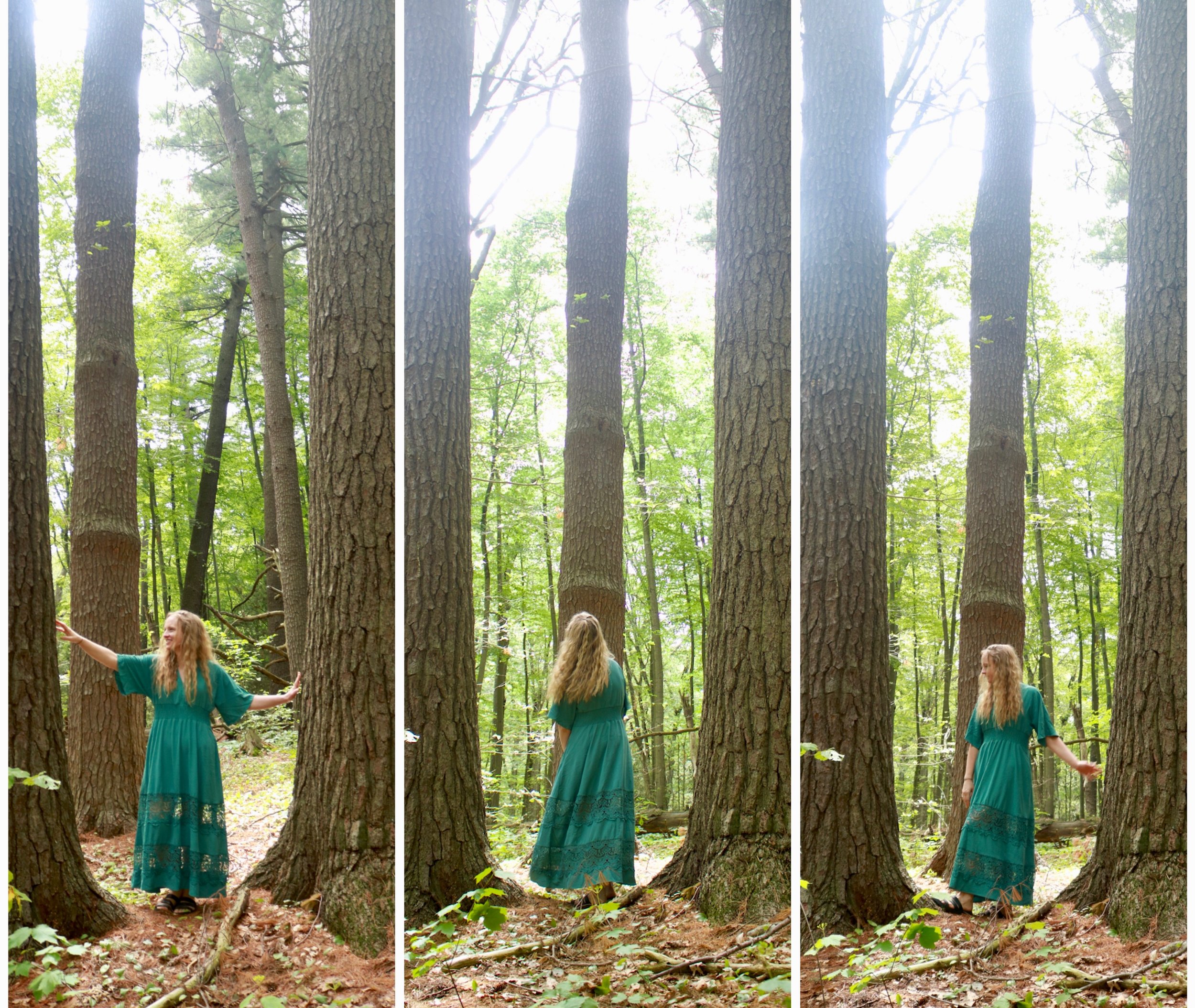 An end-of-life doula in a teal dress standing among tall trees in a forest in Melrose, Massachusetts, with green foliage overhead and a forest floor covered with leaves and small plants.