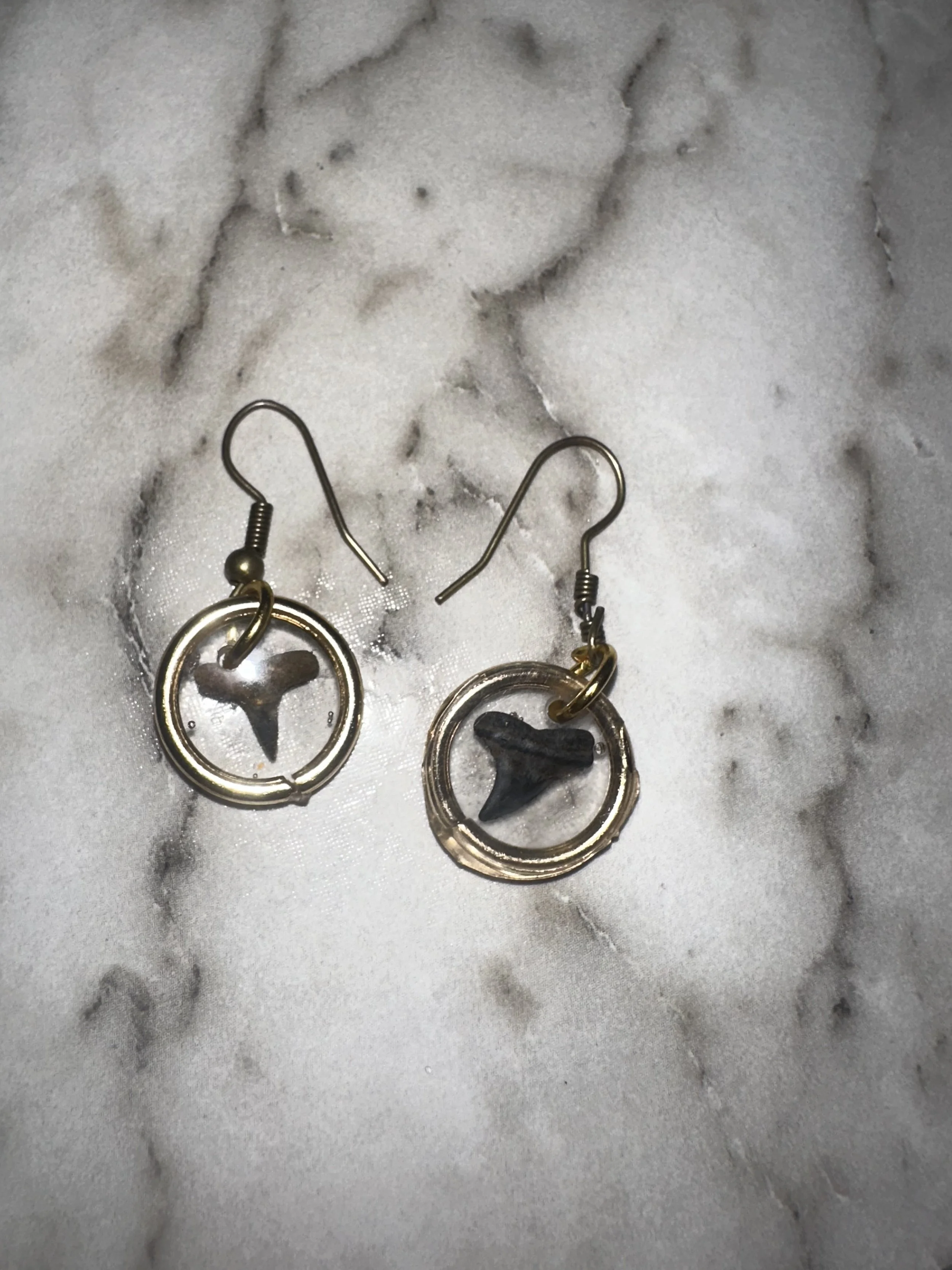 Shark Tooth Earrings