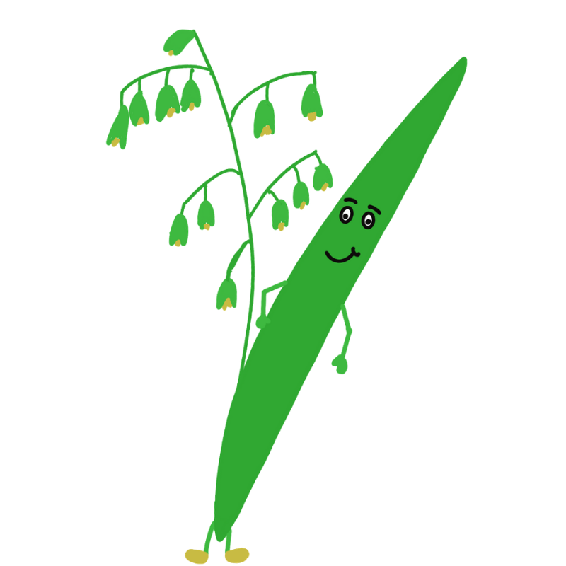 26.png