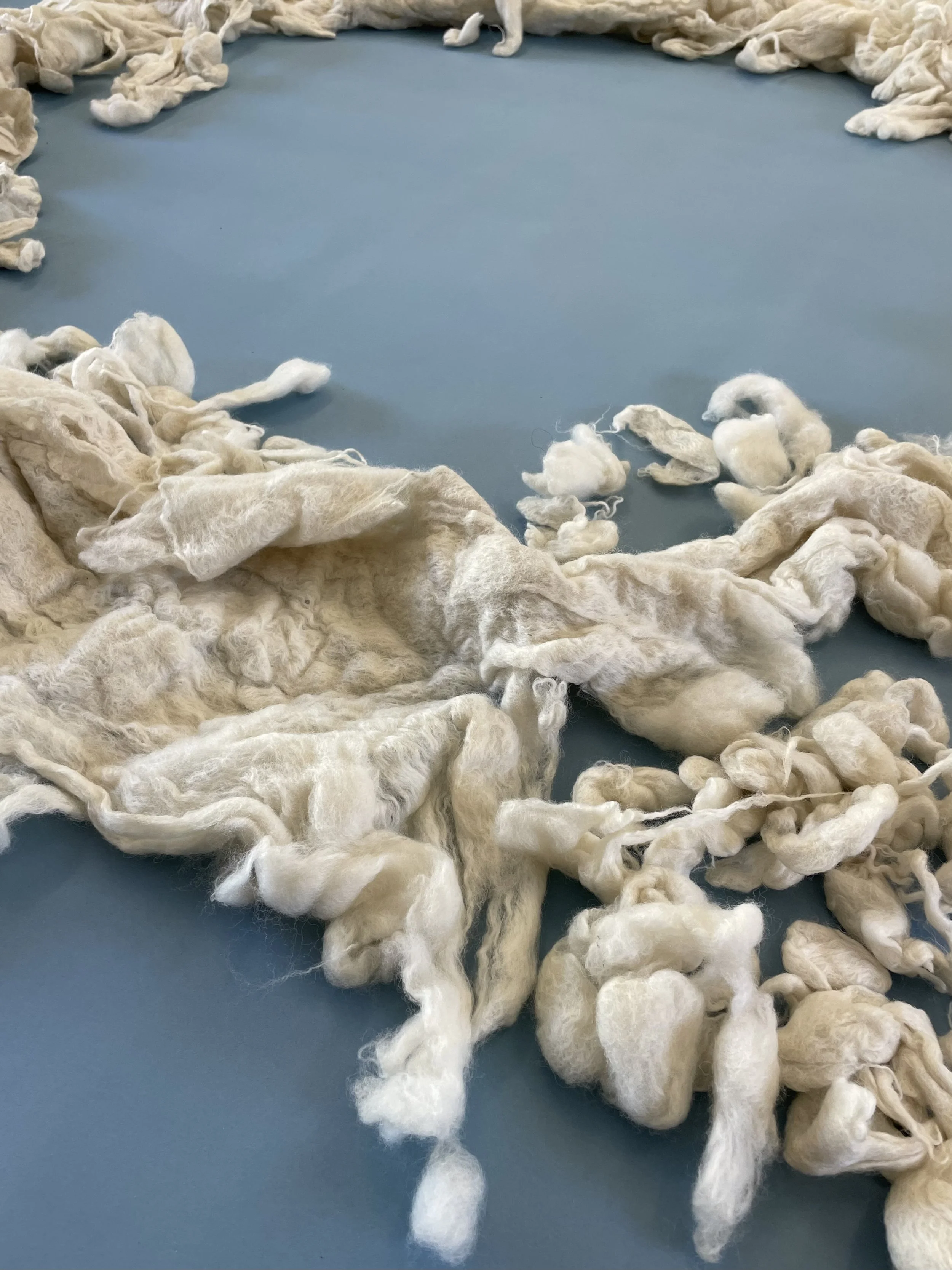 Louise Siddons and De Waveland, Slipping Circle: Contact Improv (detail), 2026. Merino wool felted by dancing, with contributions from Al, Jean, Aliza, Penelope, Erik, and Neve.