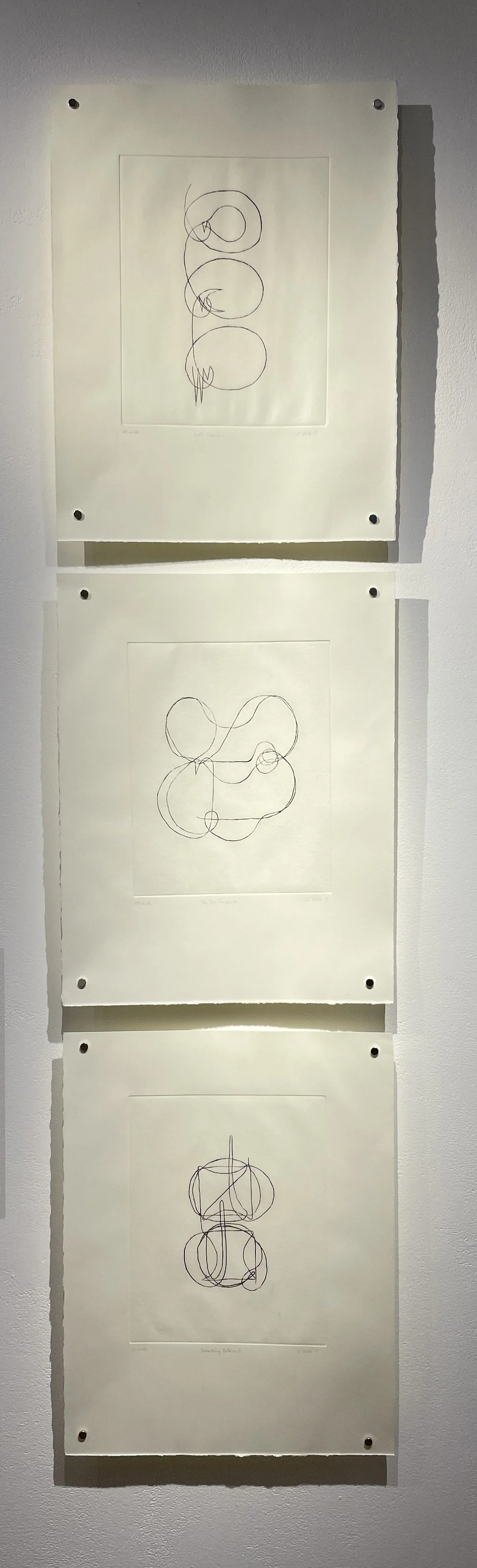 Installation view.