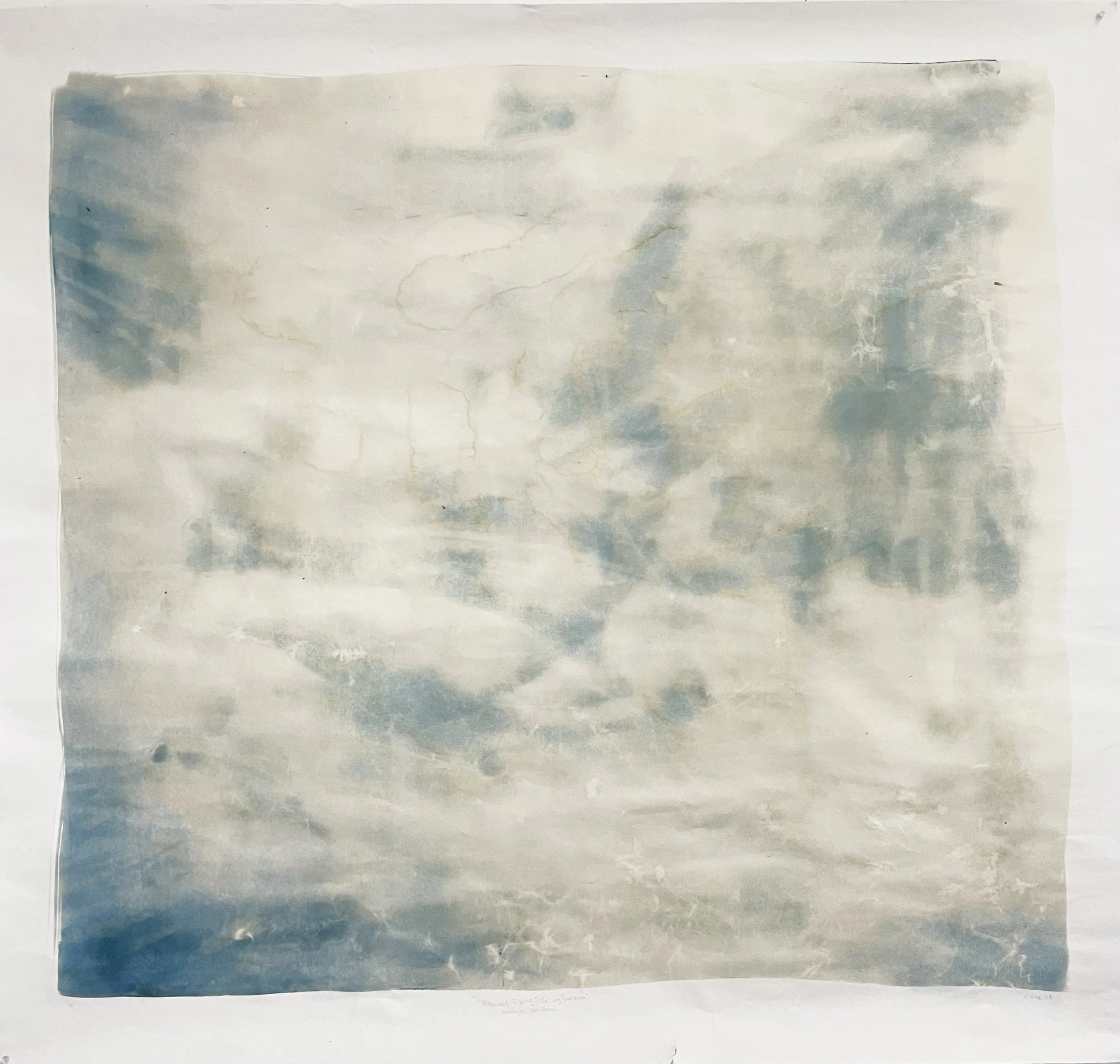 Pinewoods Slipping Circle (Long Pond Rinse): Brooke, Gil, John, and Annie, 2026. Cyanotype on paper, 52 x 52 inches (approx.). 

Pinewoods Dance Camp is on the shore of Long Pond, outside Plymouth, Massachusetts. We rinsed Pinewoods Slipping Circle i