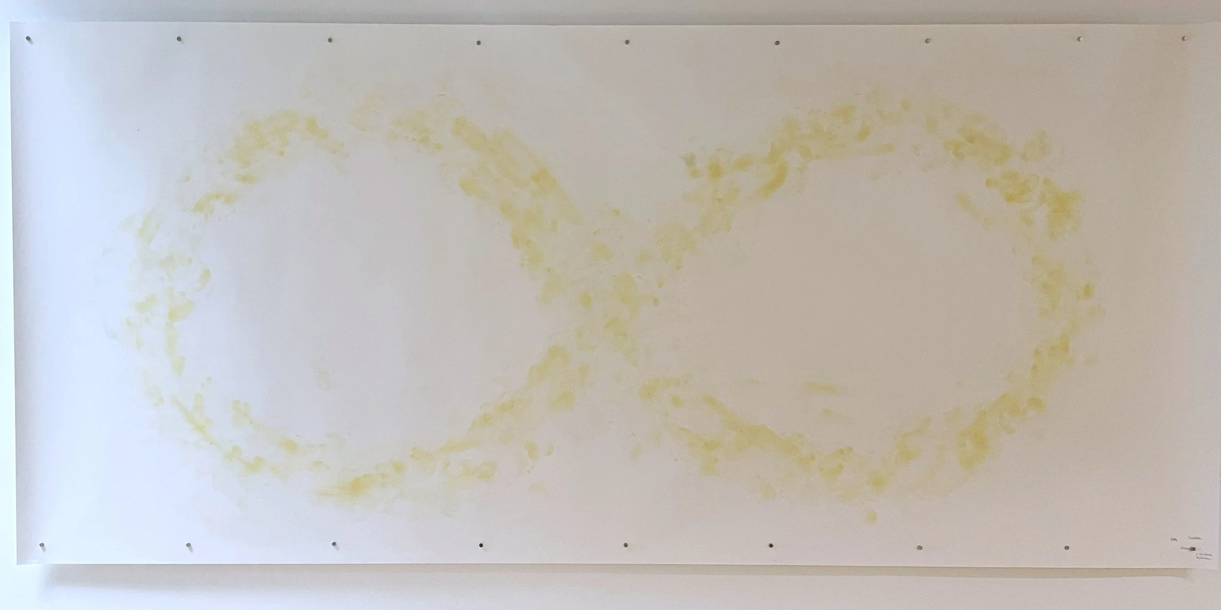 Hey for Three (Dicky, Louise, and Sasha), 2026. Turmeric on paper, 52 x 105 in. (approx.). Installation view.