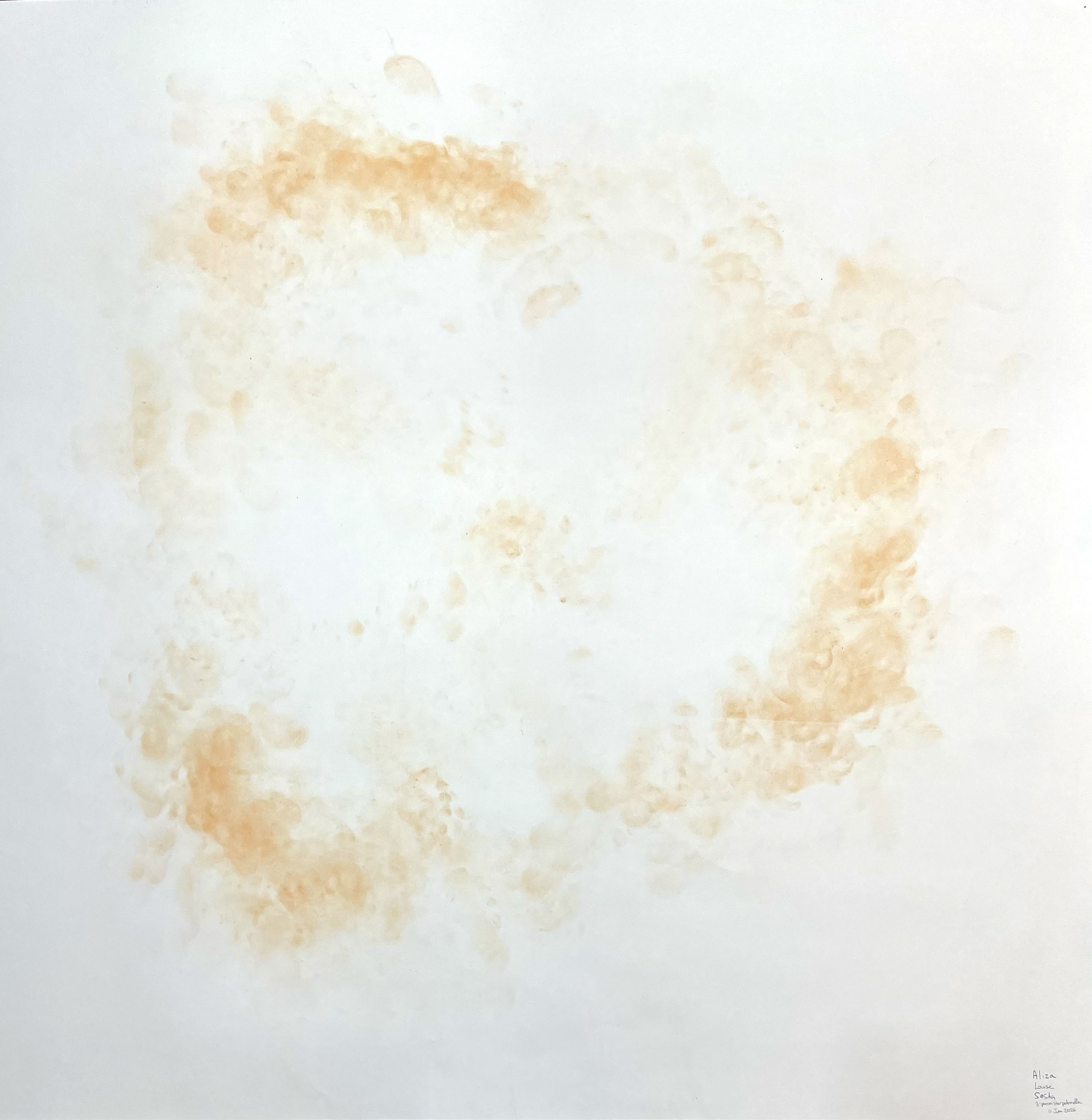 Star Petronella (Aliza, Louise, and Sasha), 2026. Paprika on paper, 52 x 52 in (approx.).