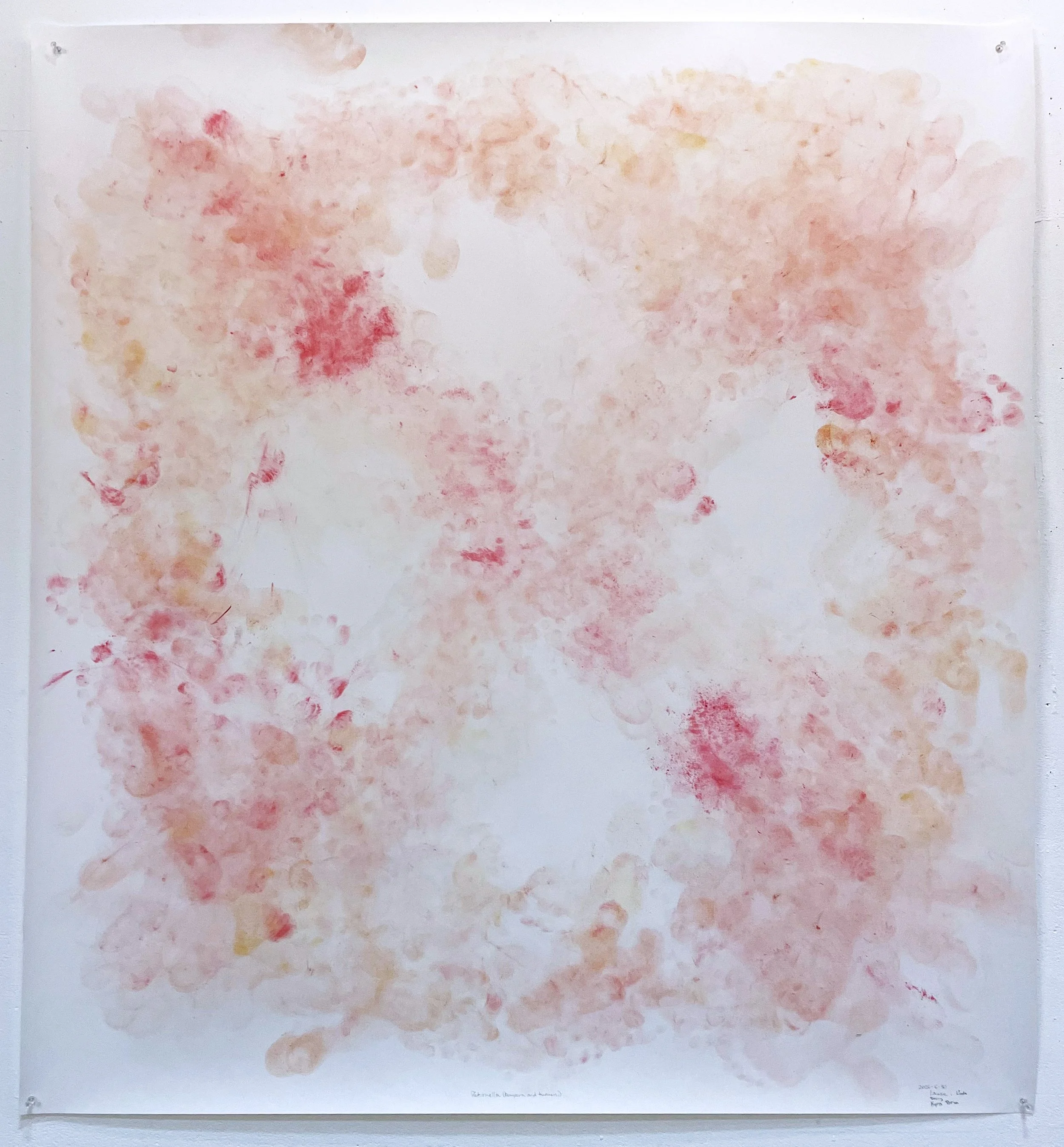 Petronella (Beccy, Bria, Kyra, and Louise), 2026. Tempera and turmeric on paper, 52 x 48 in. (approx.). Installation view.