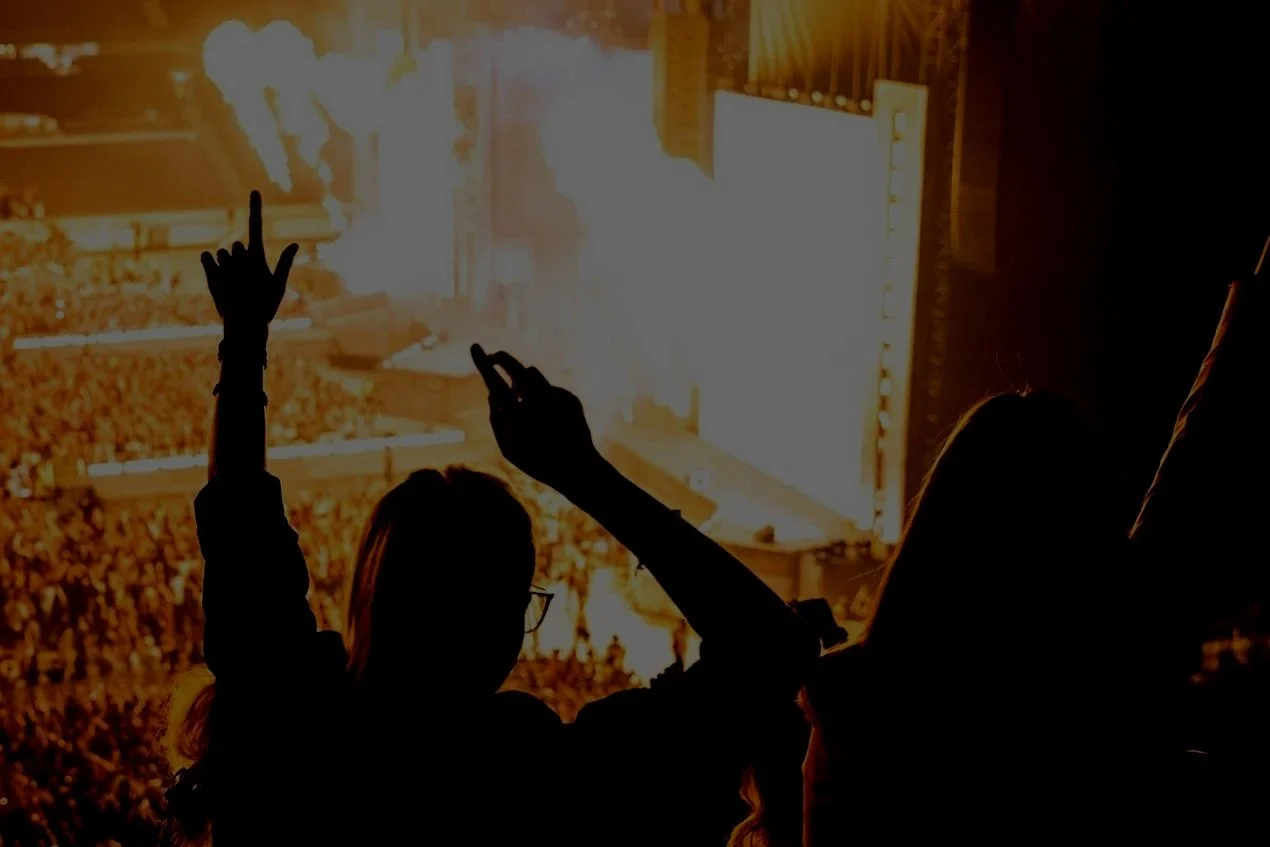 Silhouettes of two people with raised arms watching a concert at a stadium full of people.