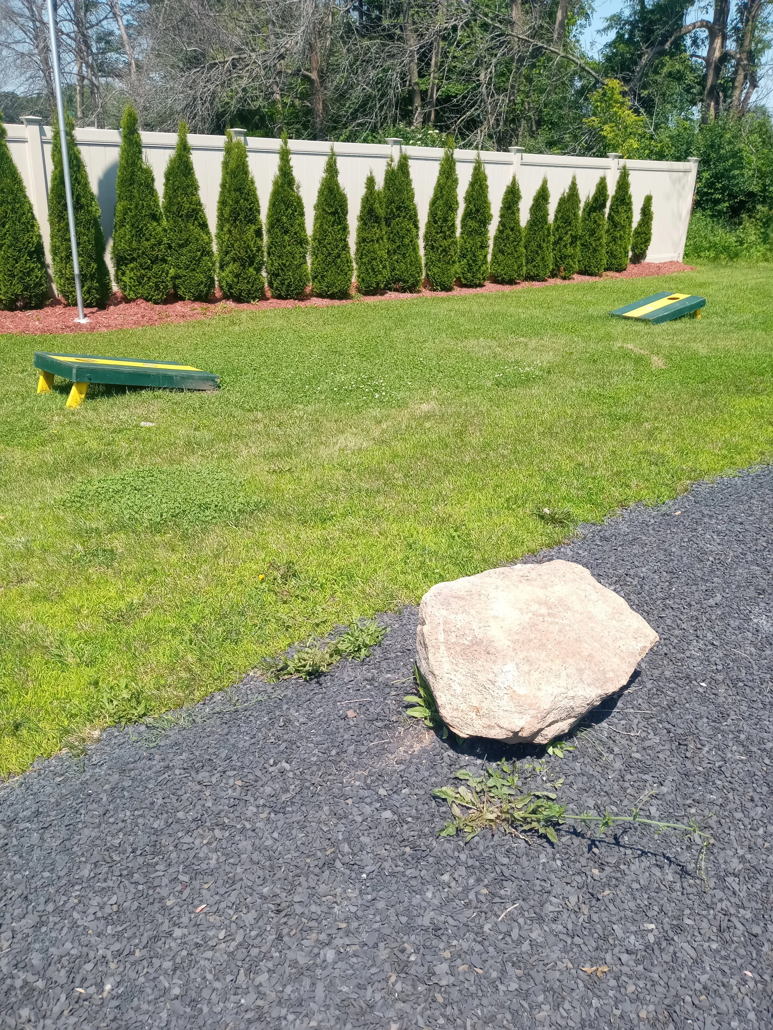 IMG_20260629_115831.jpg