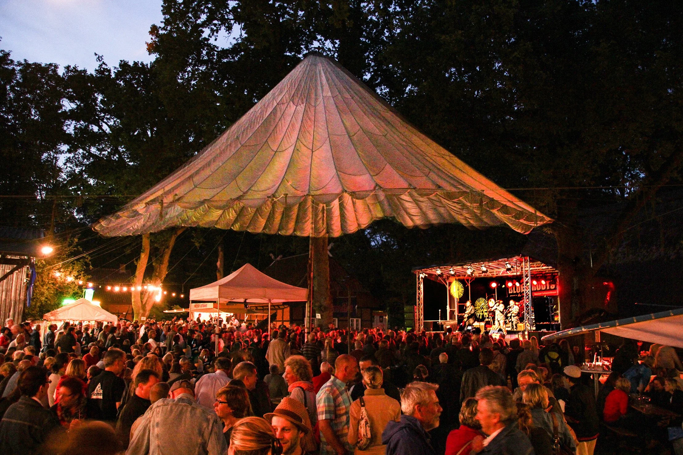 BLUES, ROOTS &amp; SONG FESTIVAL