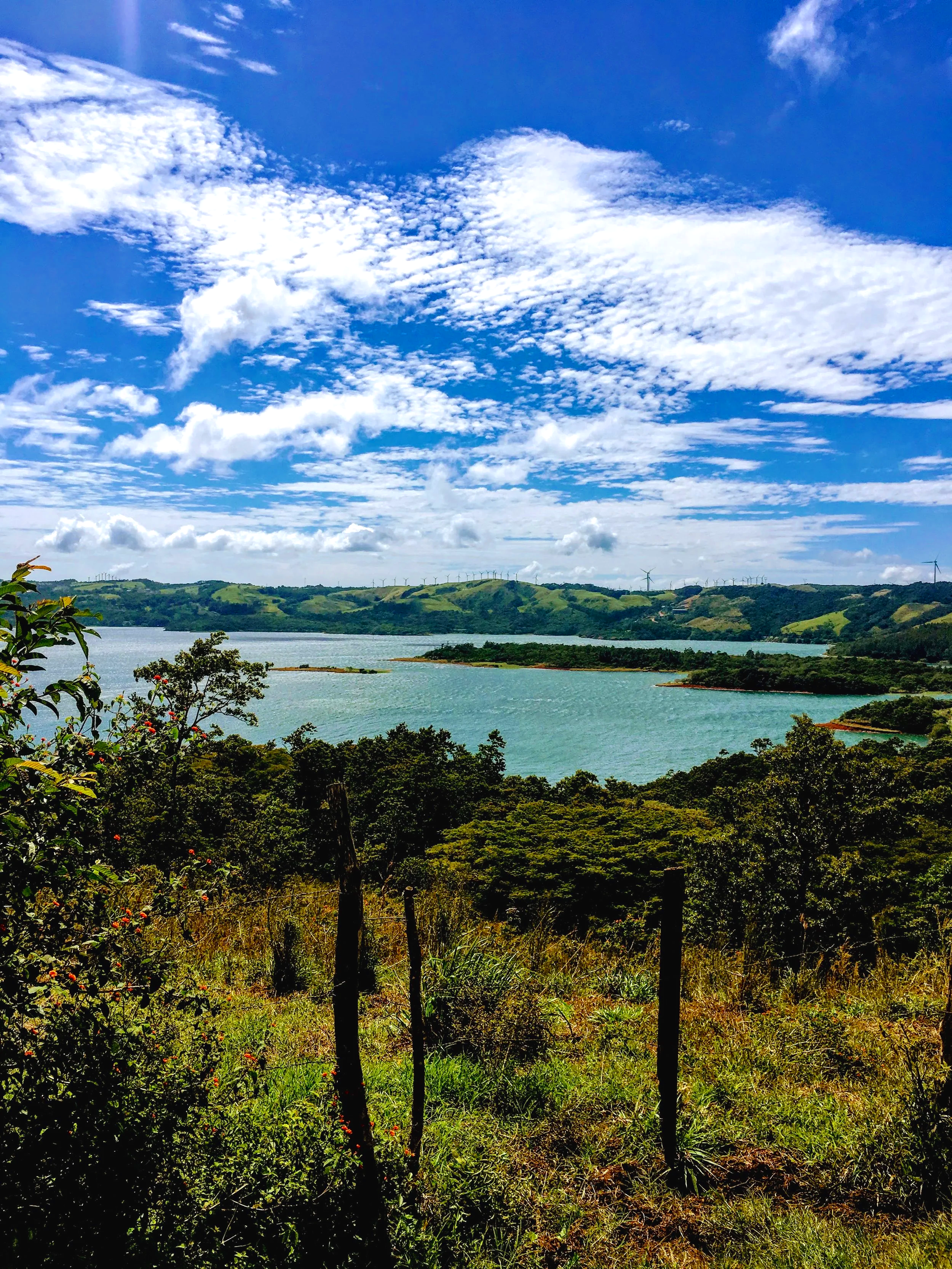 The view from the coffee farm on our tour in Costa Rica