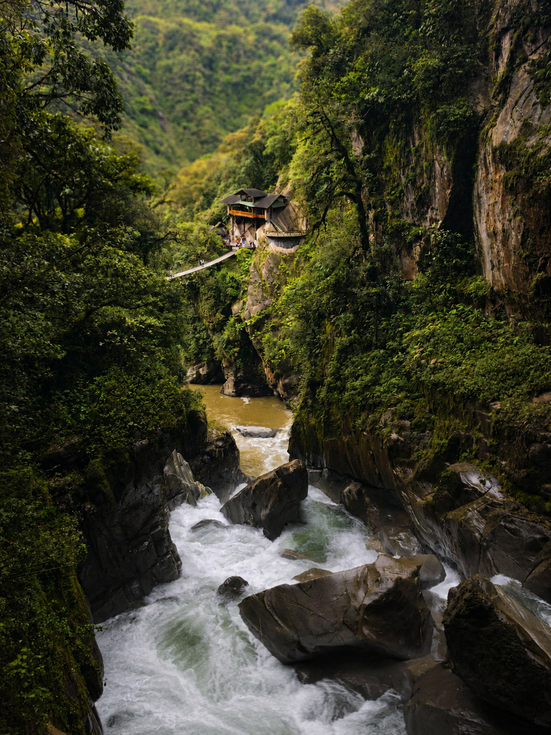 Landscapes