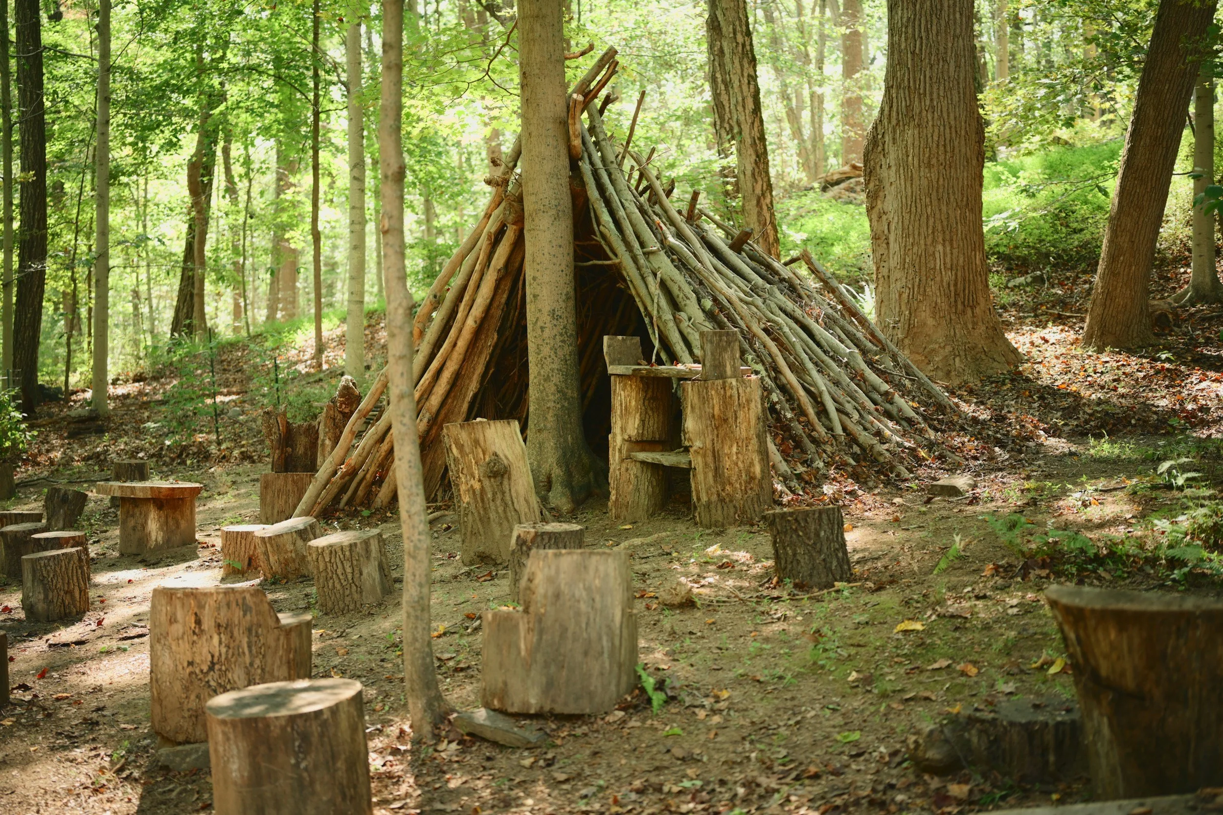 Children's woodland den and outdoor learning area at Eyton Burrow nature school Shropshire