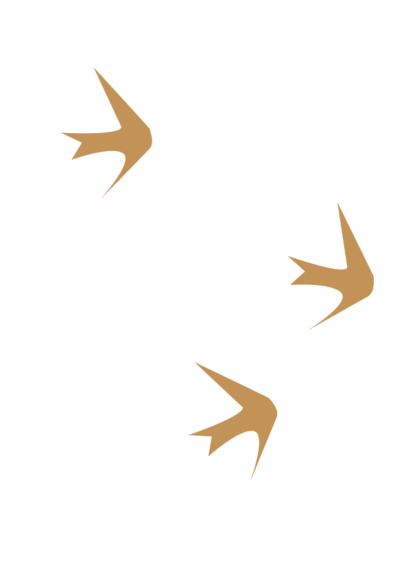 Three brown stylized birds flying with spread wings in different directions on a white background.