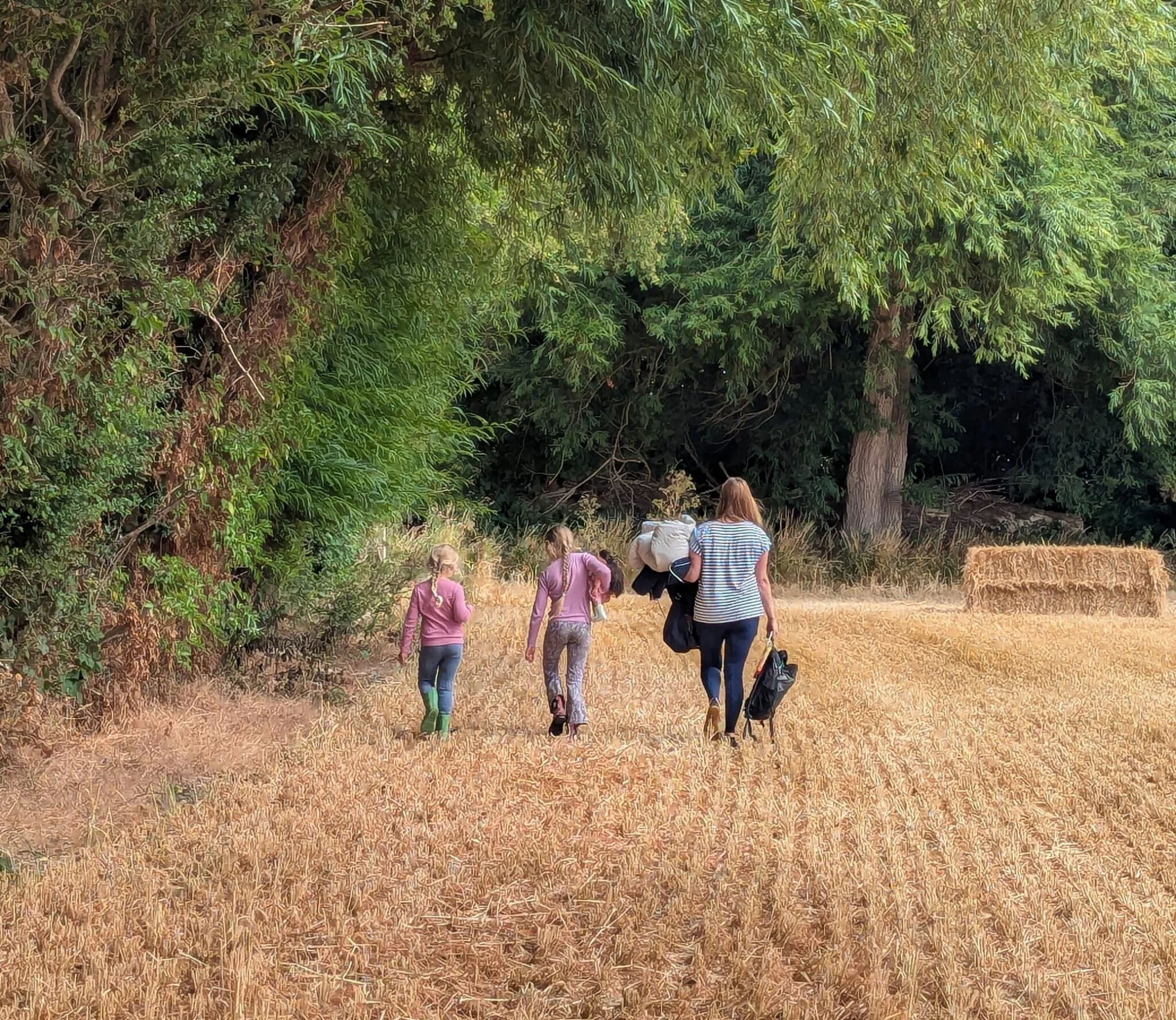 CHildren and teacher walking through the farm fields blackberry picking