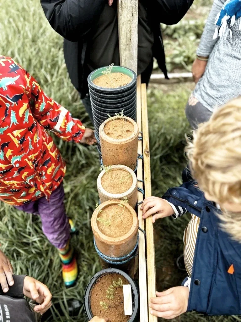 Child's hands stacking wooden discs planting seeds outdoors at Eyton Burrow